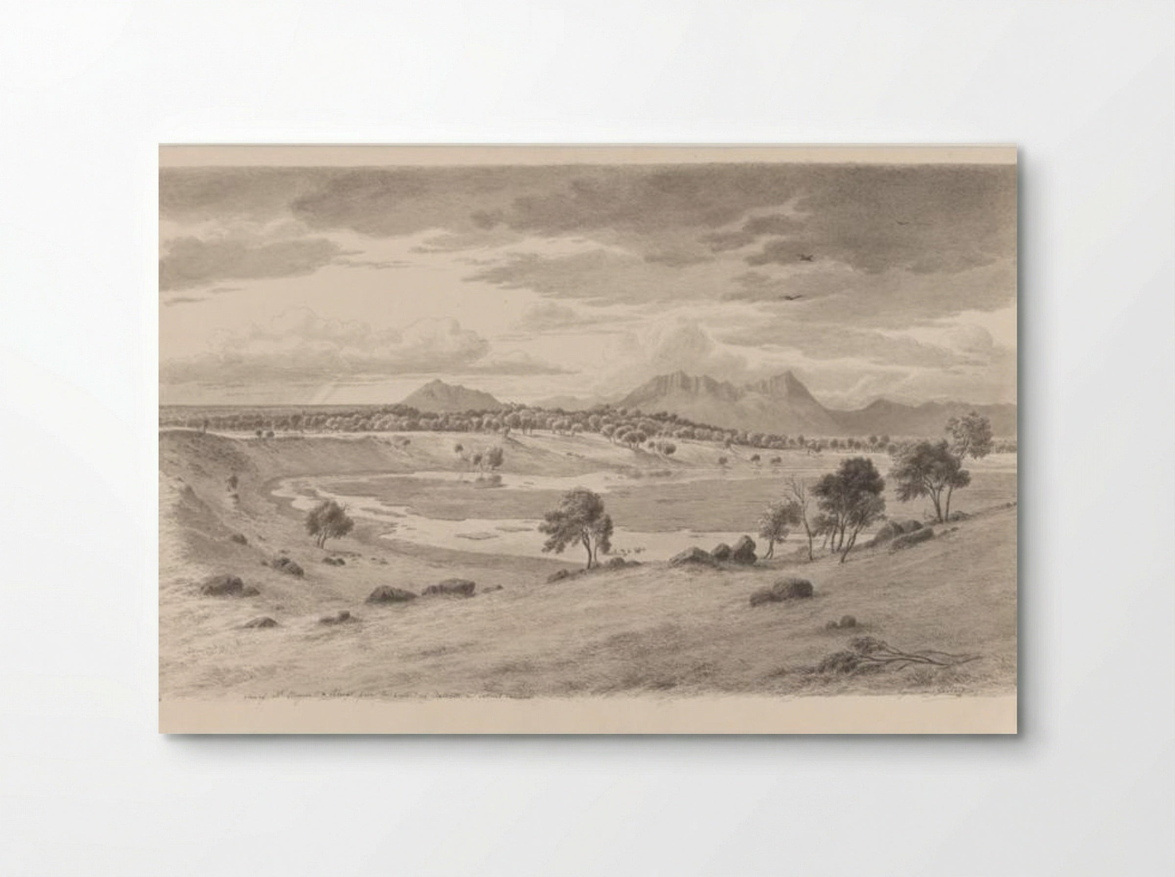 View of Mount Sturgeon and Abrupt from the crater of Bald Hill - Eugene von Guerard - Poster