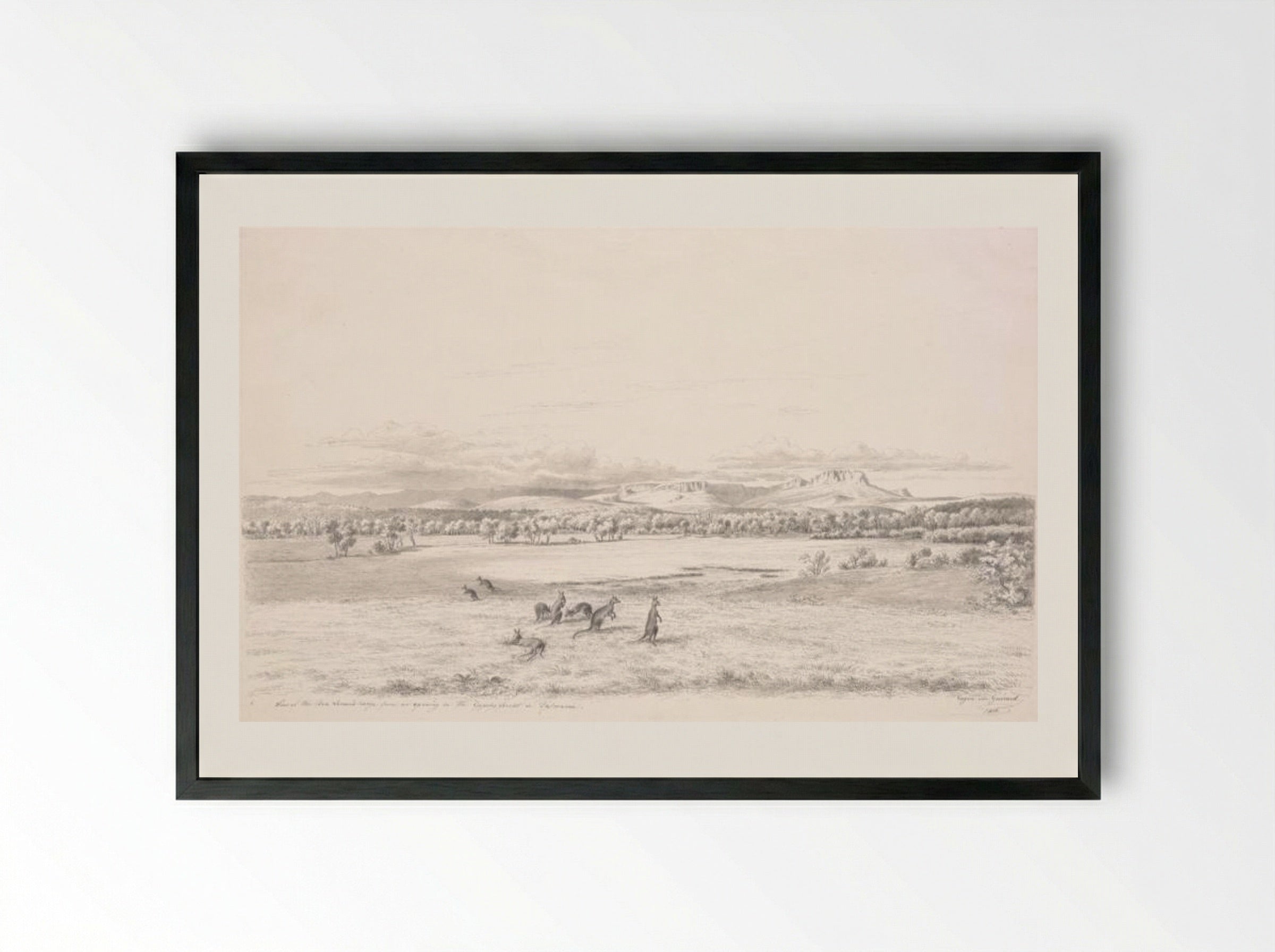 View of the Ben Lomond Range from an opening in the Epping Forest in Tasmania - Eugene von Guerard - Framed Print Black