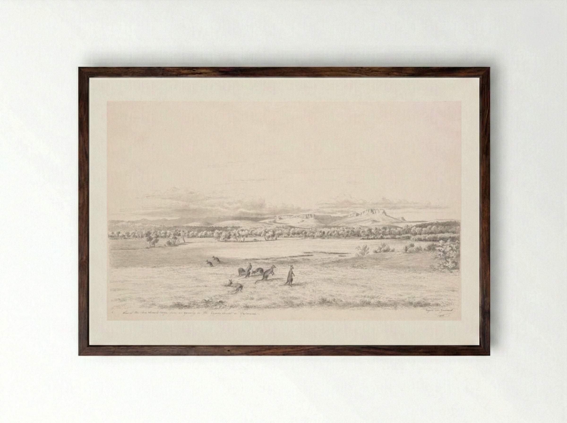 View of the Ben Lomond Range from an opening in the Epping Forest in Tasmania - Eugene von Guerard - Framed Print Dark Wood