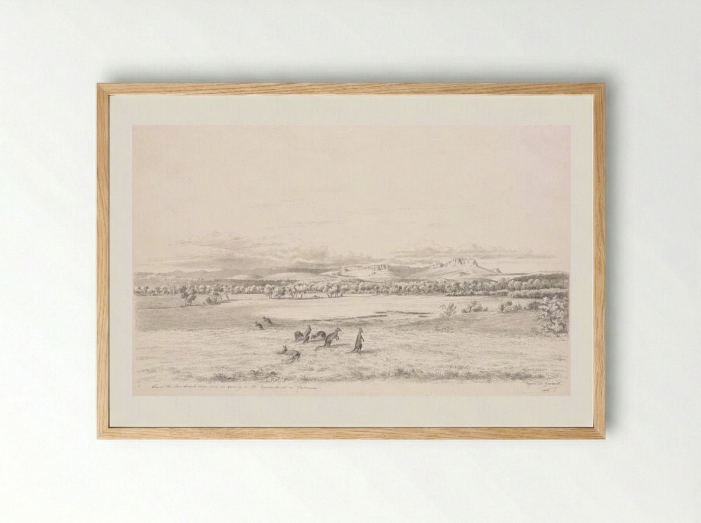 View of the Ben Lomond Range from an opening in the Epping Forest in Tasmania - Eugene von Guerard - Framed Print Wood