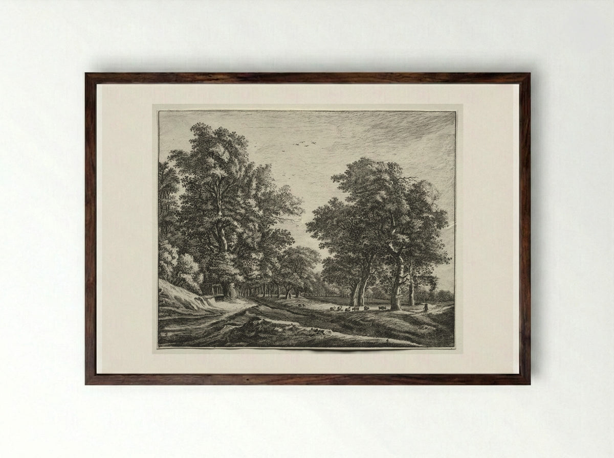 View of the Hague Woods - Roelant Roghman - Framed Print Dark Wood