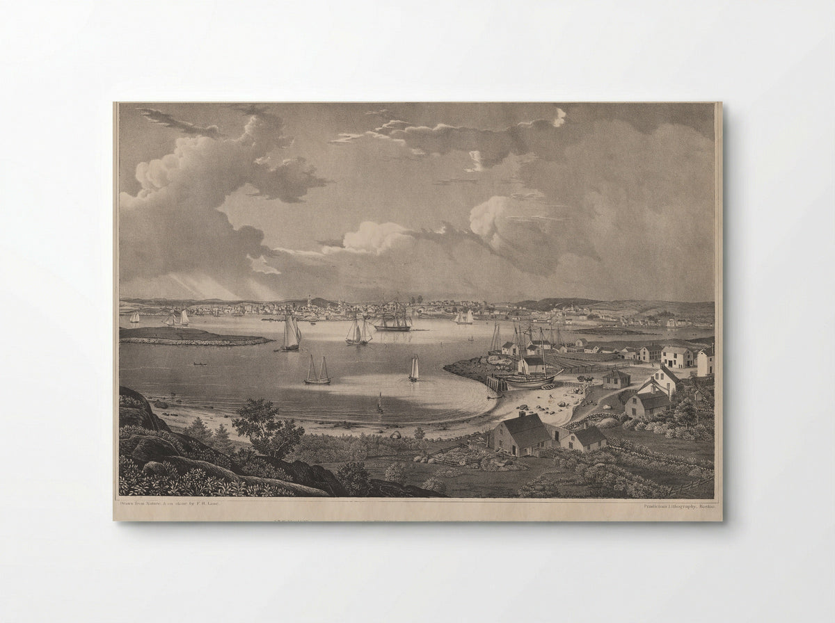View of the Town of Gloucester, Mass. - Fitz Henry Lane - Poster