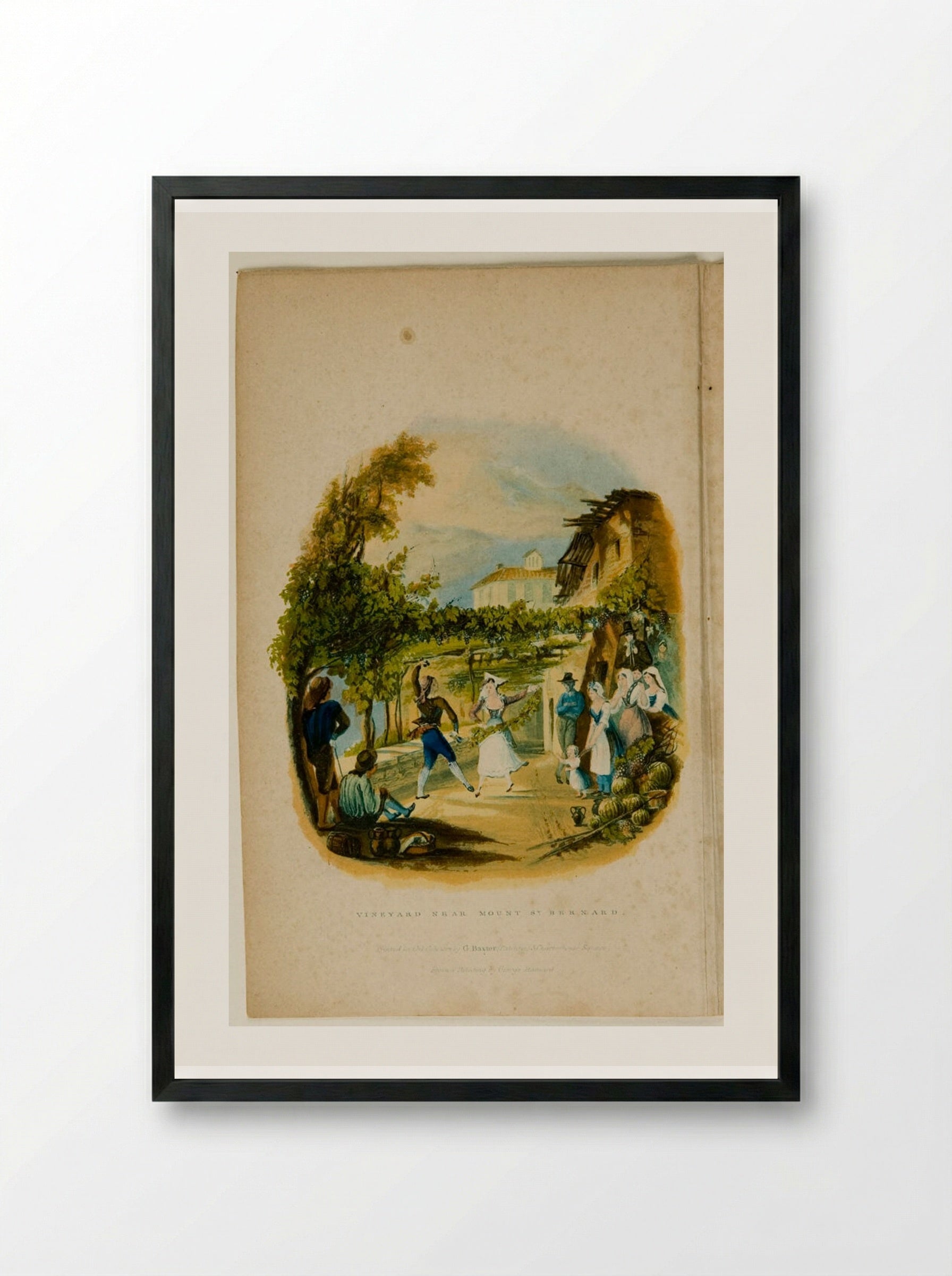 Vineyard near Mount St. Bernard - George Baxter - Framed Print Black