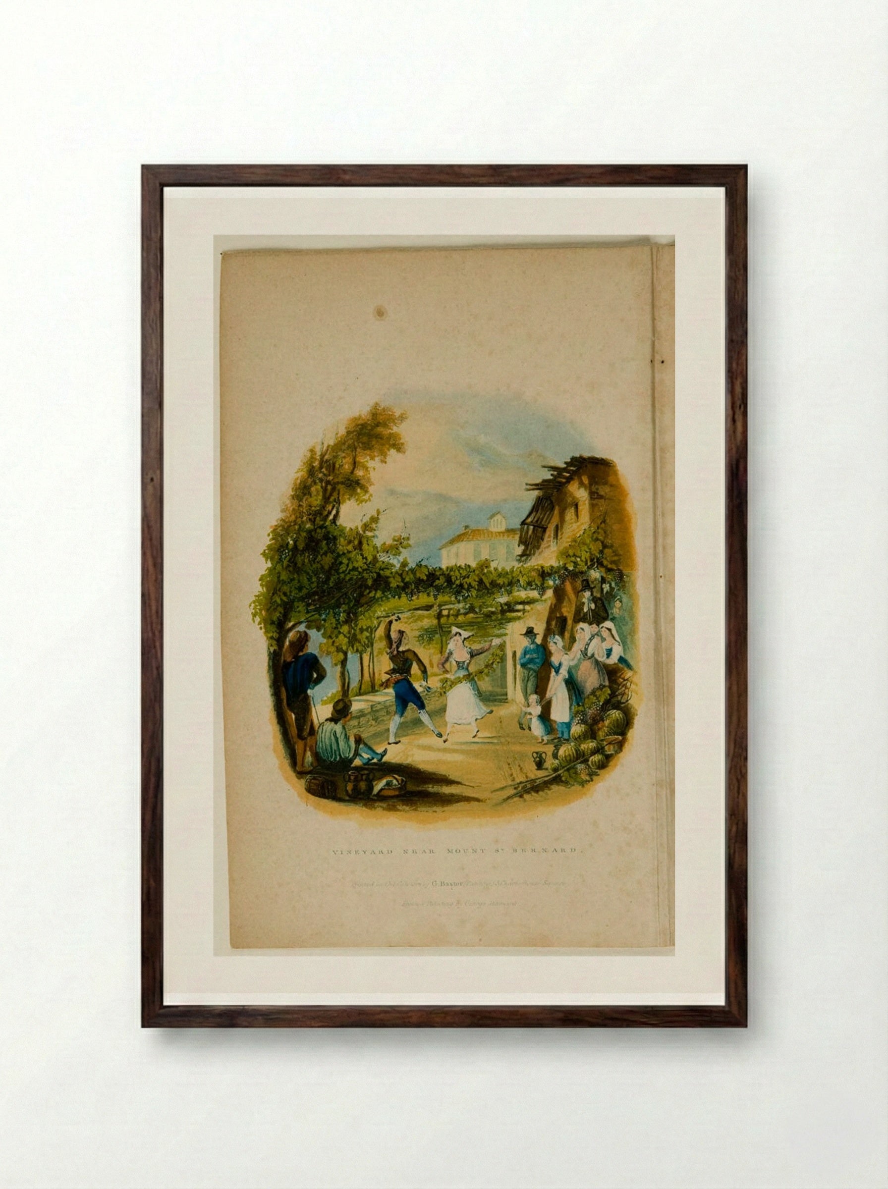 Vineyard near Mount St. Bernard - George Baxter - Framed Print Dark Wood