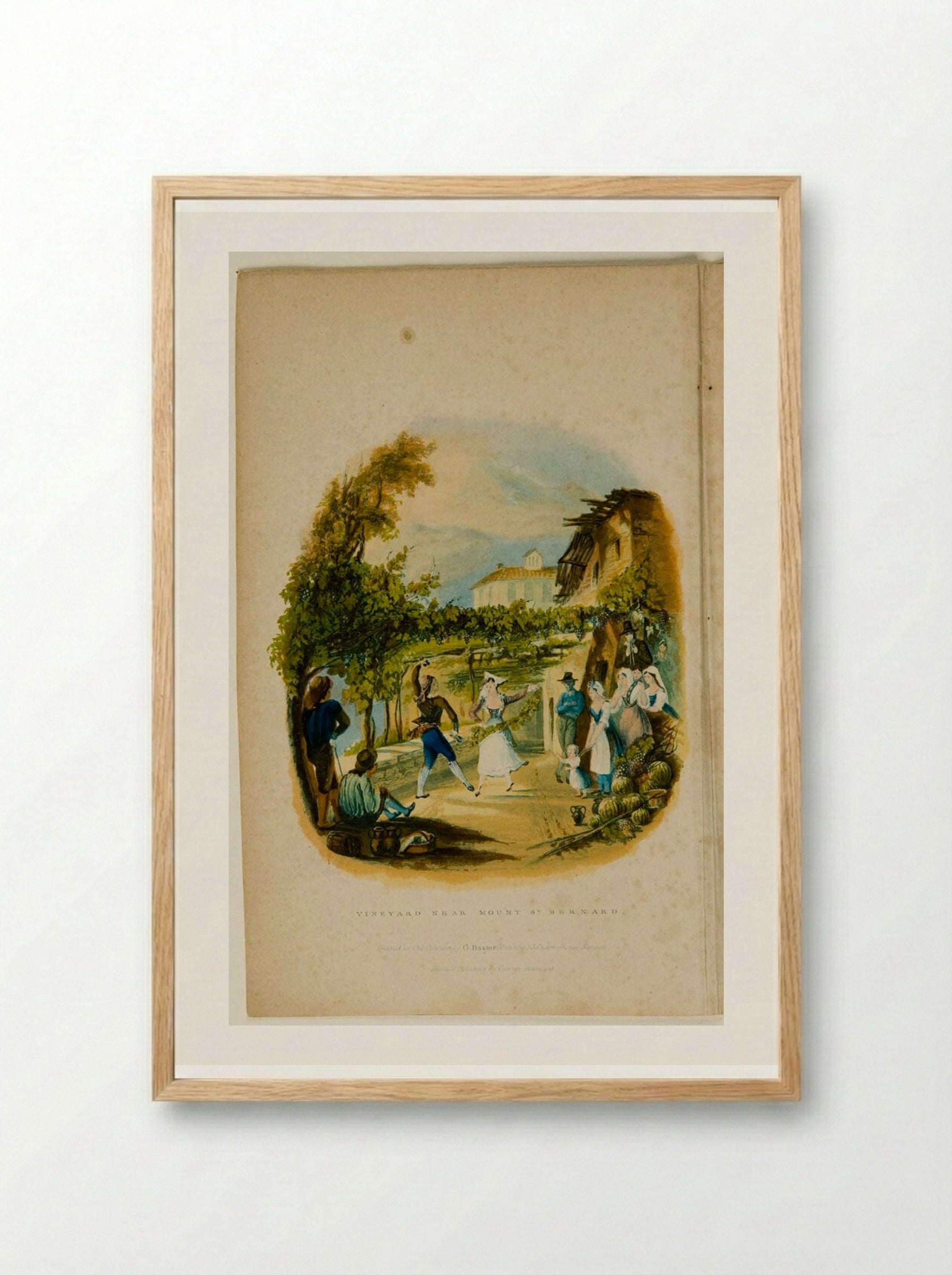 Vineyard near Mount St. Bernard - George Baxter - Framed Print Wood