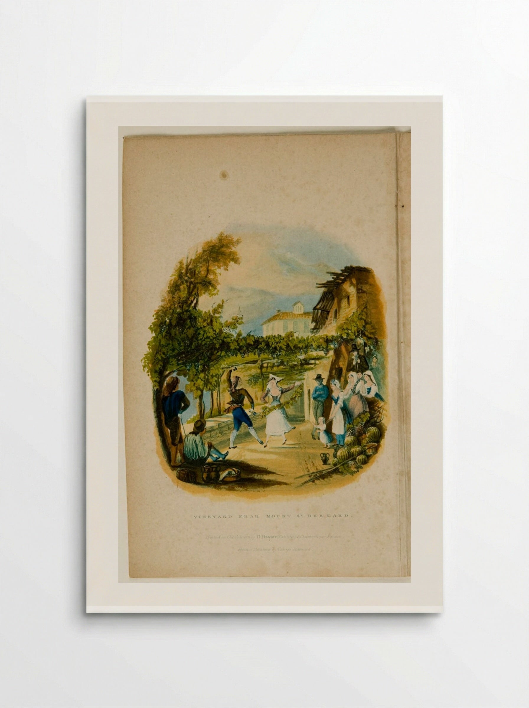 Vineyard near Mount St. Bernard - George Baxter - Poster