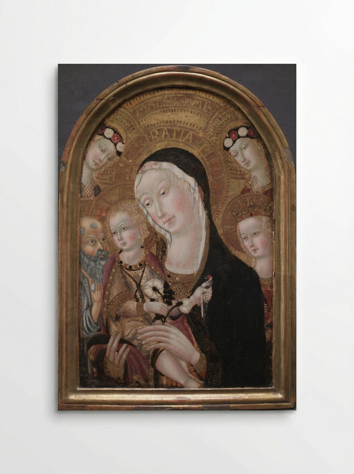 Virgin and Child with Saint Jerome and Saint Catherine of Alexandria - Carolino da Viterbo - Poster