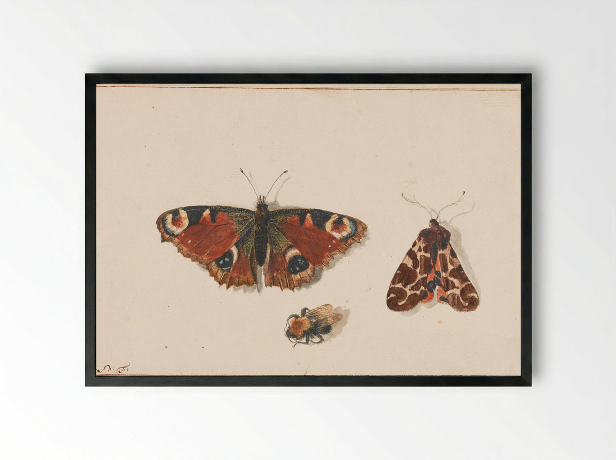Vlinder, nachtvlinder en hommel - Johannes Bronkhorst - Framed Print Black