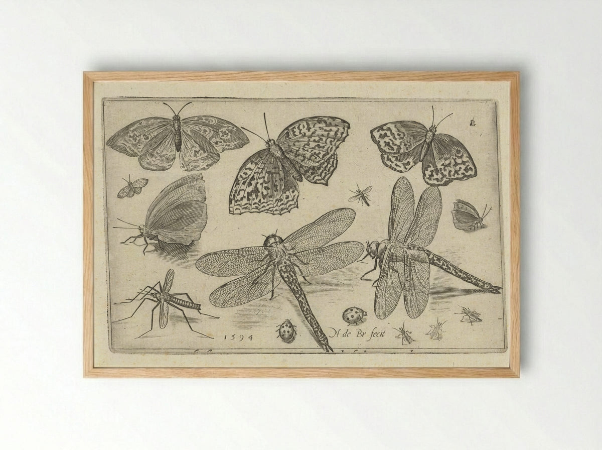 Vlinders en libellen - Francoys van Beusekom - Framed Print Wood