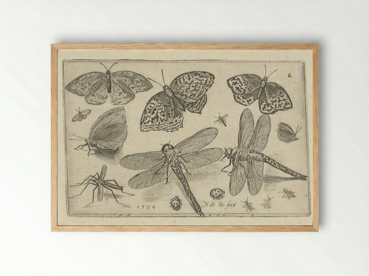 Vlinders en libellen - Francoys van Beusekom - Framed Print Wood