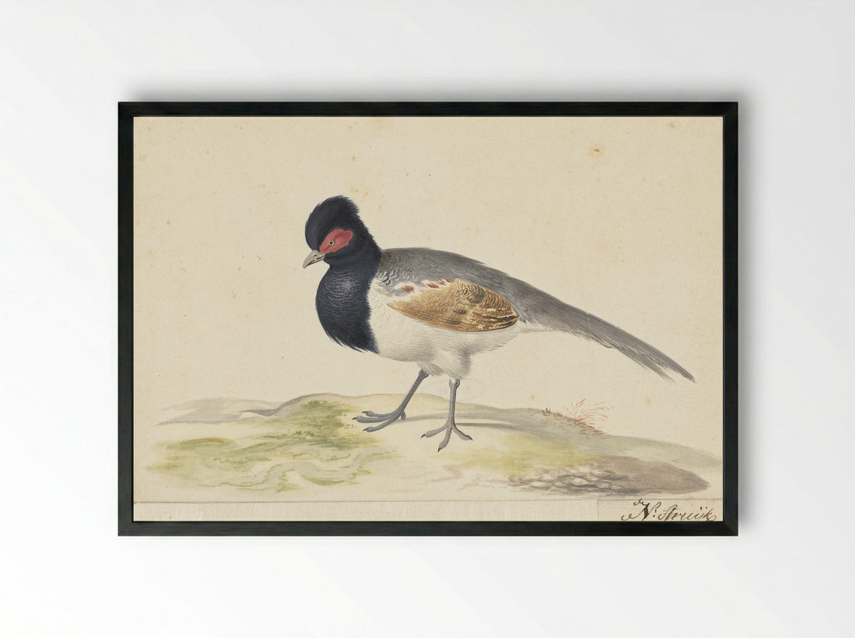 Vogel met grijze staartveren, zwarte kop met rode vlek, naar links - Nicolaas Struyk - Framed Print Black