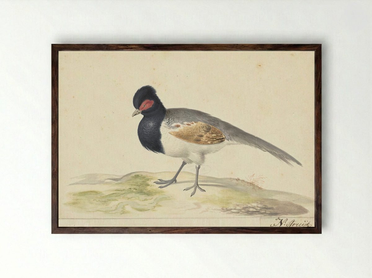 Vogel met grijze staartveren, zwarte kop met rode vlek, naar links - Nicolaas Struyk - Framed Print Dark Wood