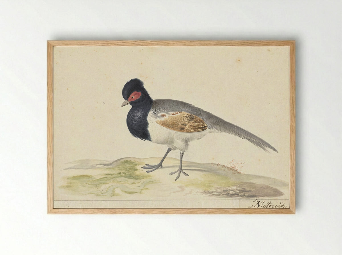 Vogel met grijze staartveren, zwarte kop met rode vlek, naar links - Nicolaas Struyk - Framed Print Wood