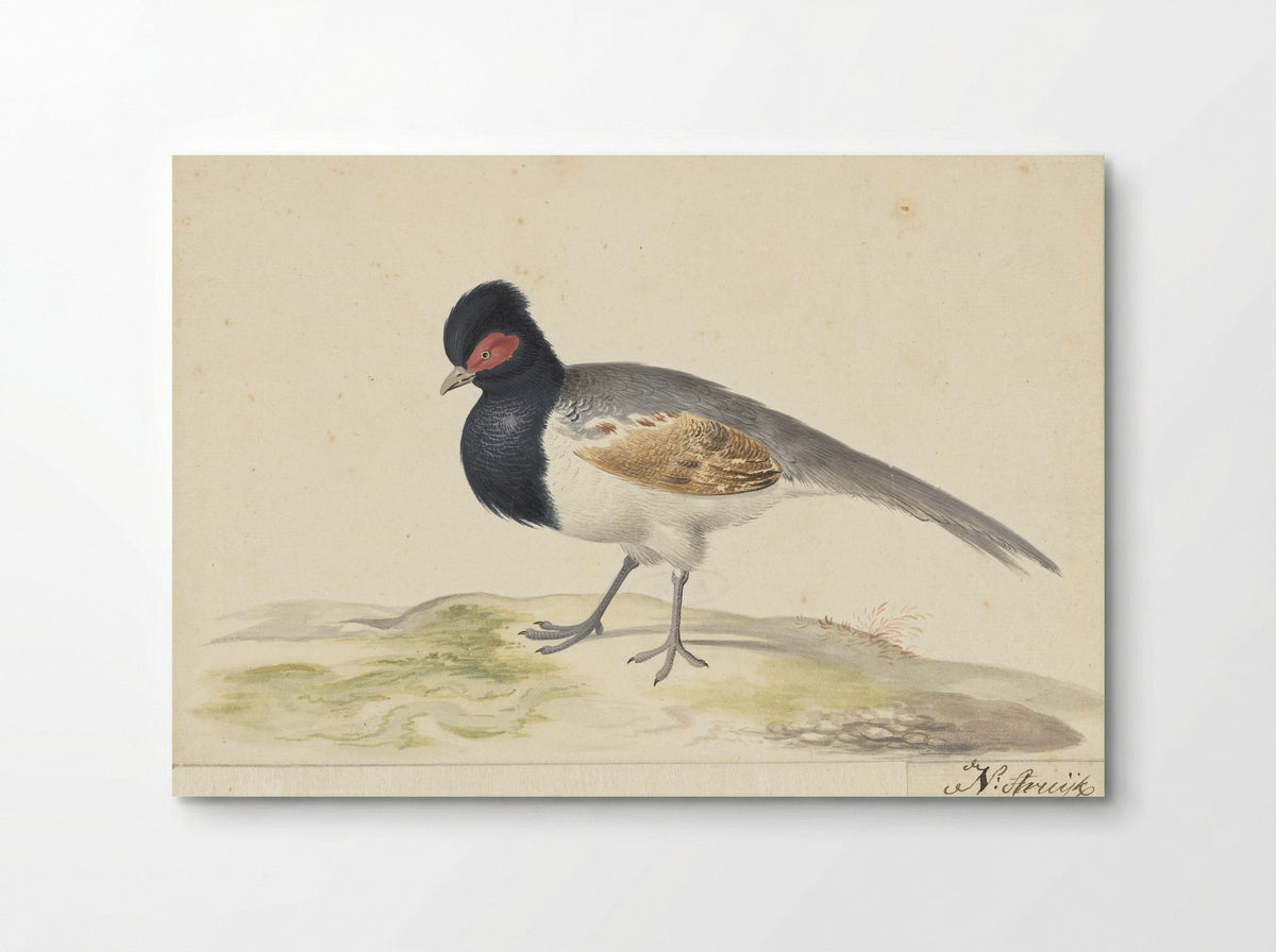 Vogel met grijze staartveren, zwarte kop met rode vlek, naar links - Nicolaas Struyk - Poster