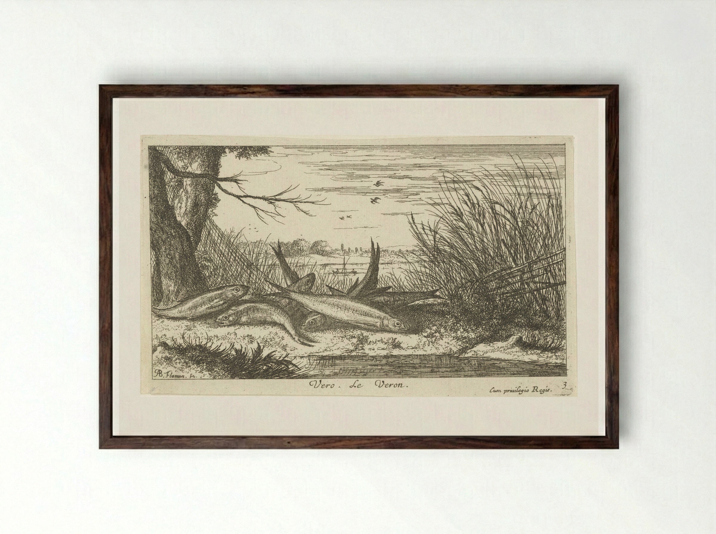 Voornen op een rivieroever - Albert Flamen - Framed Print Dark Wood
