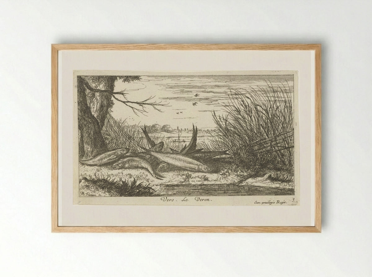 Voornen op een rivieroever - Albert Flamen - Framed Print Wood