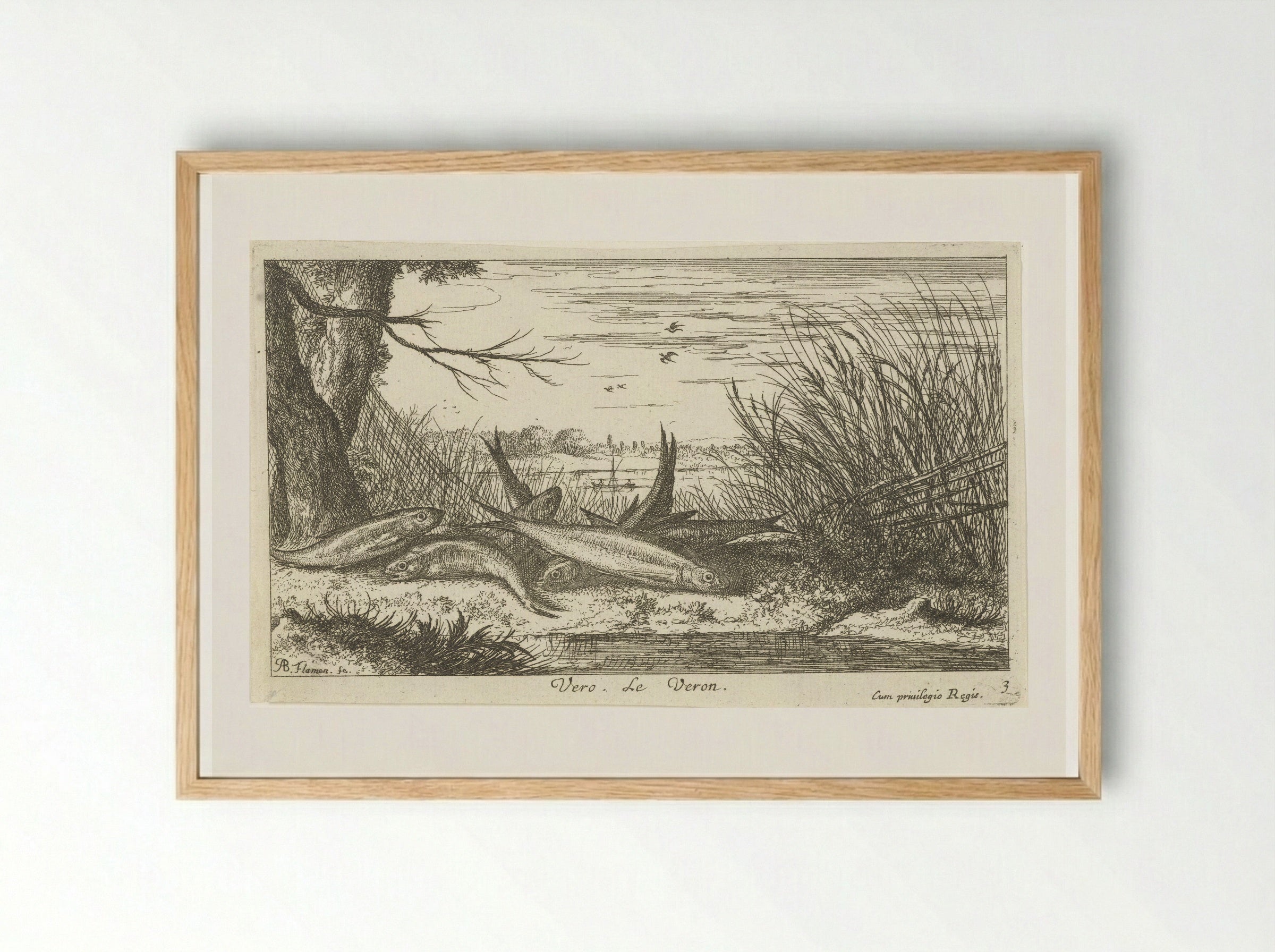 Voornen op een rivieroever - Albert Flamen - Framed Print Wood