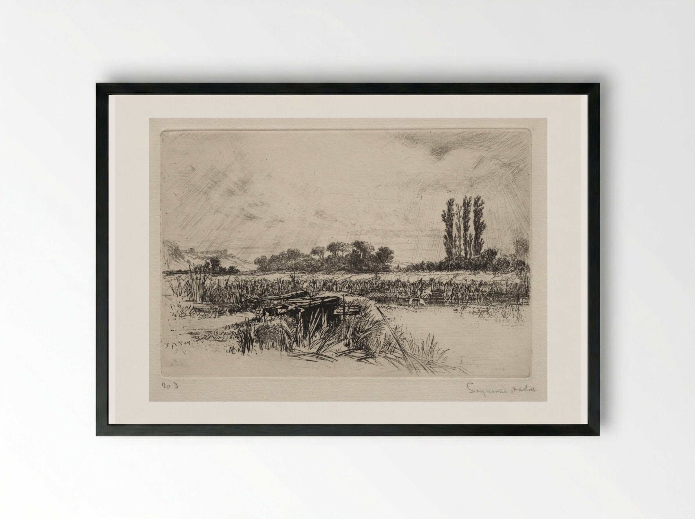 Water Meadow - Francis Seymour Haden - Framed Print Black