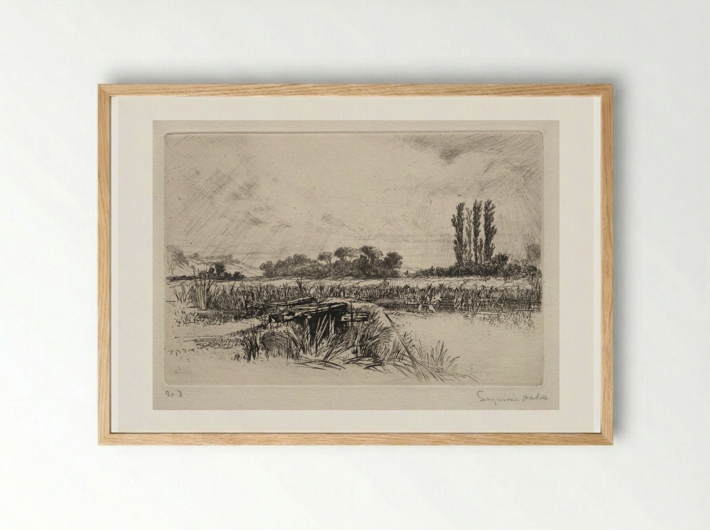 Water Meadow - Francis Seymour Haden - Framed Print Wood