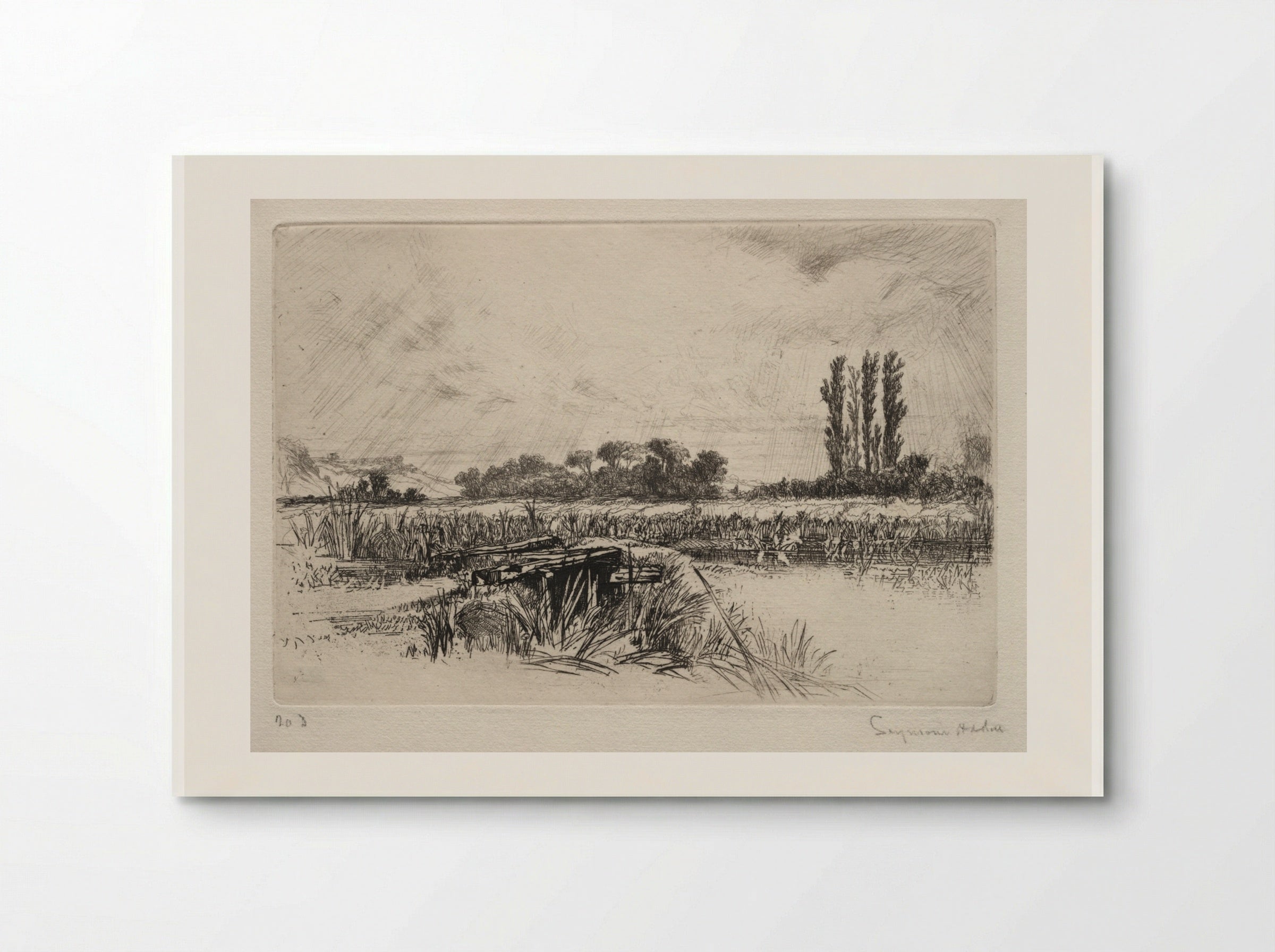 Water Meadow - Francis Seymour Haden - Poster