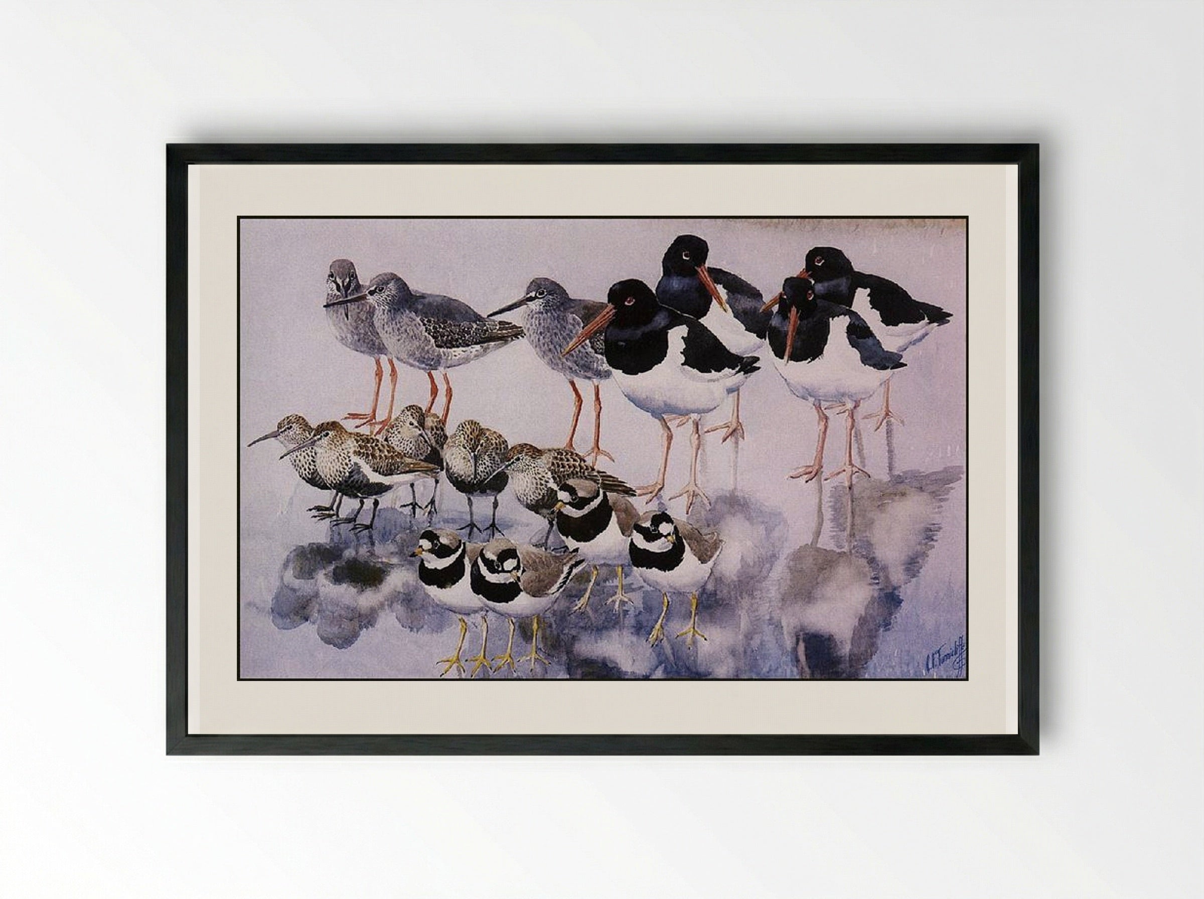 Water Reflections - Charles Tunnicliffe - Framed Print Black