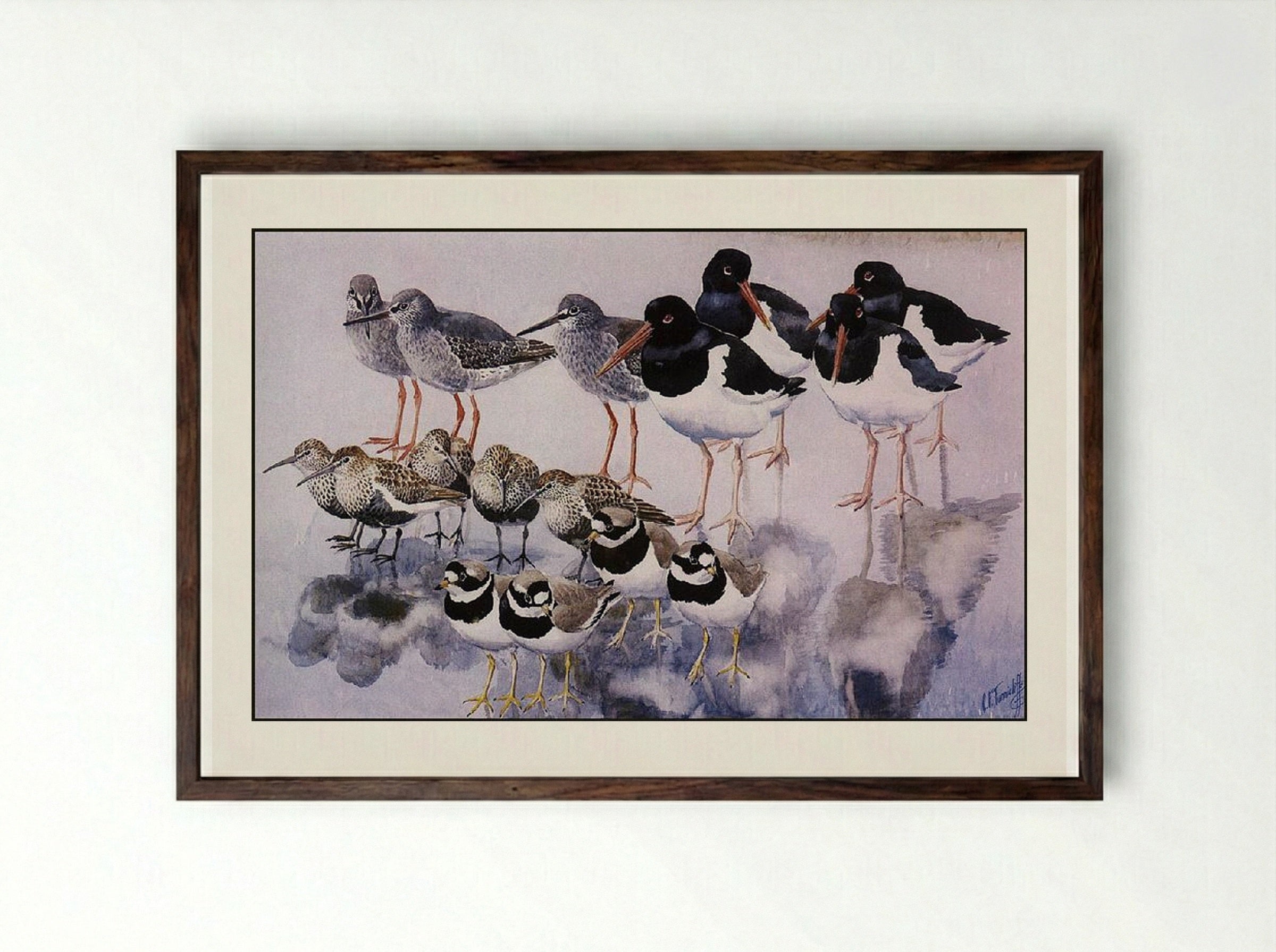Water Reflections - Charles Tunnicliffe - Framed Print Dark Wood