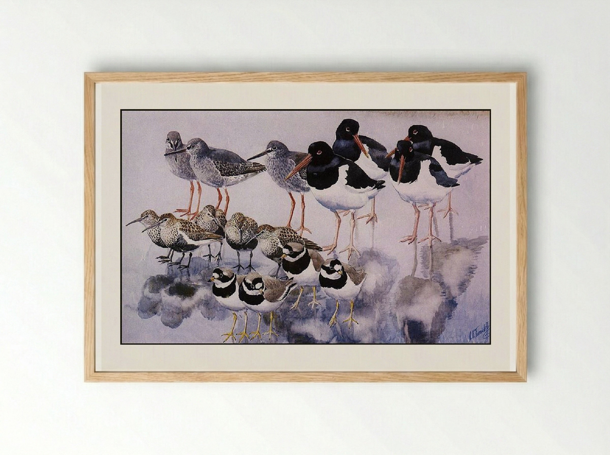 Water Reflections - Charles Tunnicliffe - Framed Print Wood