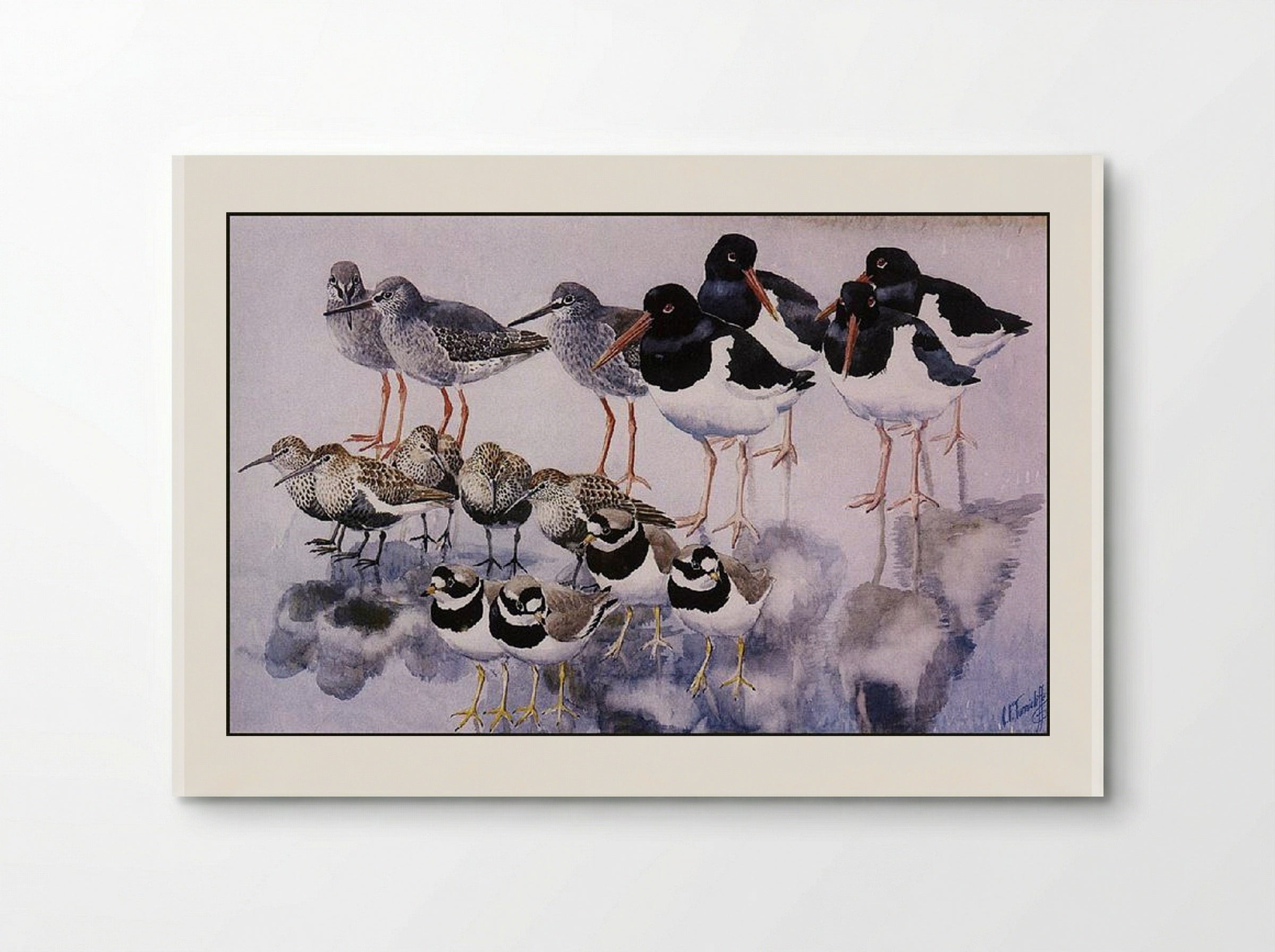 Water Reflections - Charles Tunnicliffe - Poster