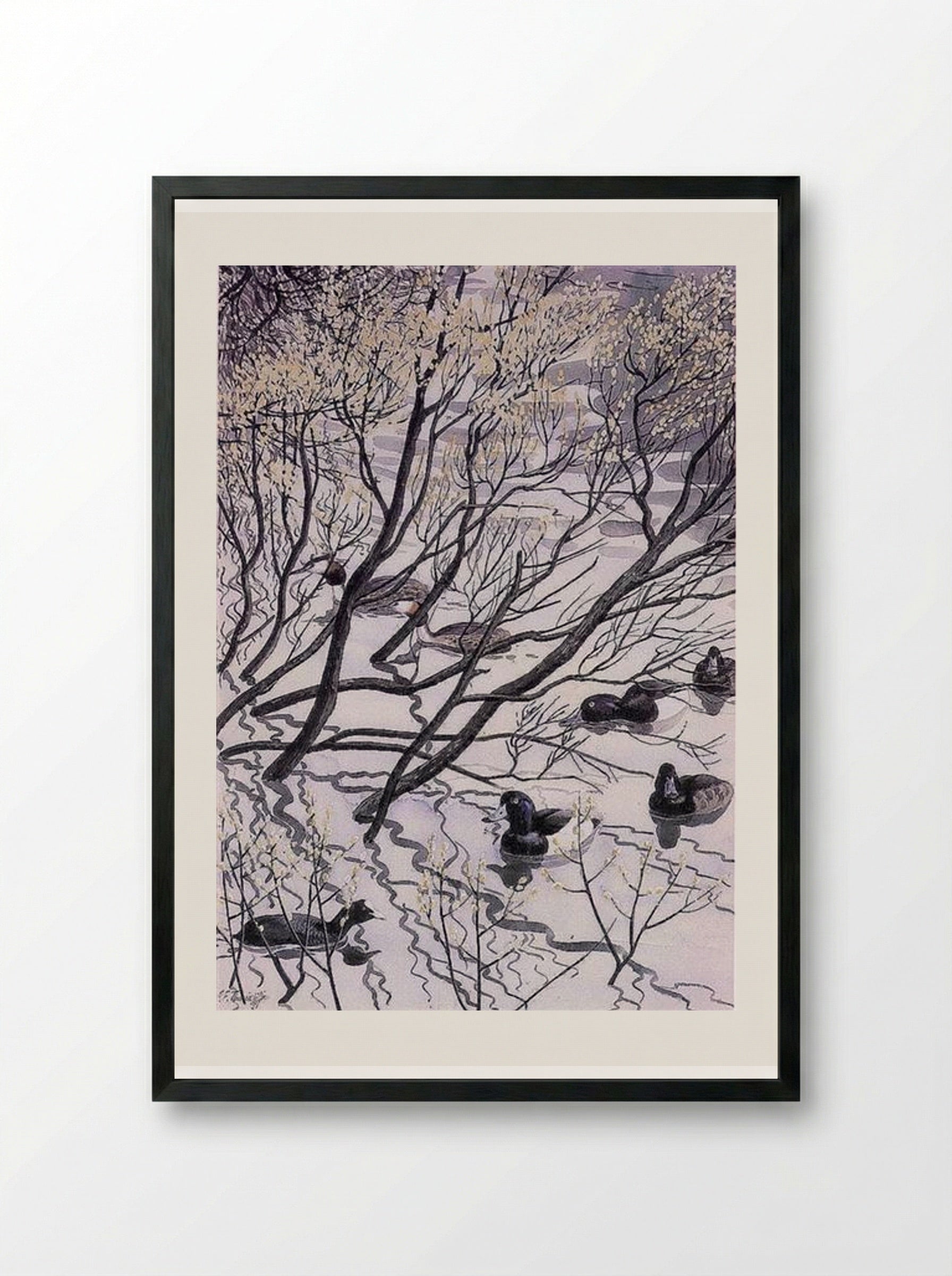 Waterfowl - Charles Tunnicliffe - Framed Print Black