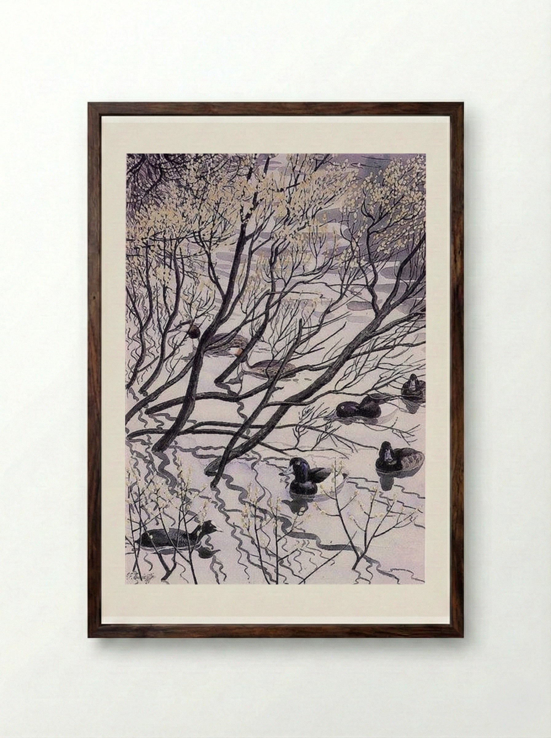 Waterfowl - Charles Tunnicliffe - Framed Print Dark Wood