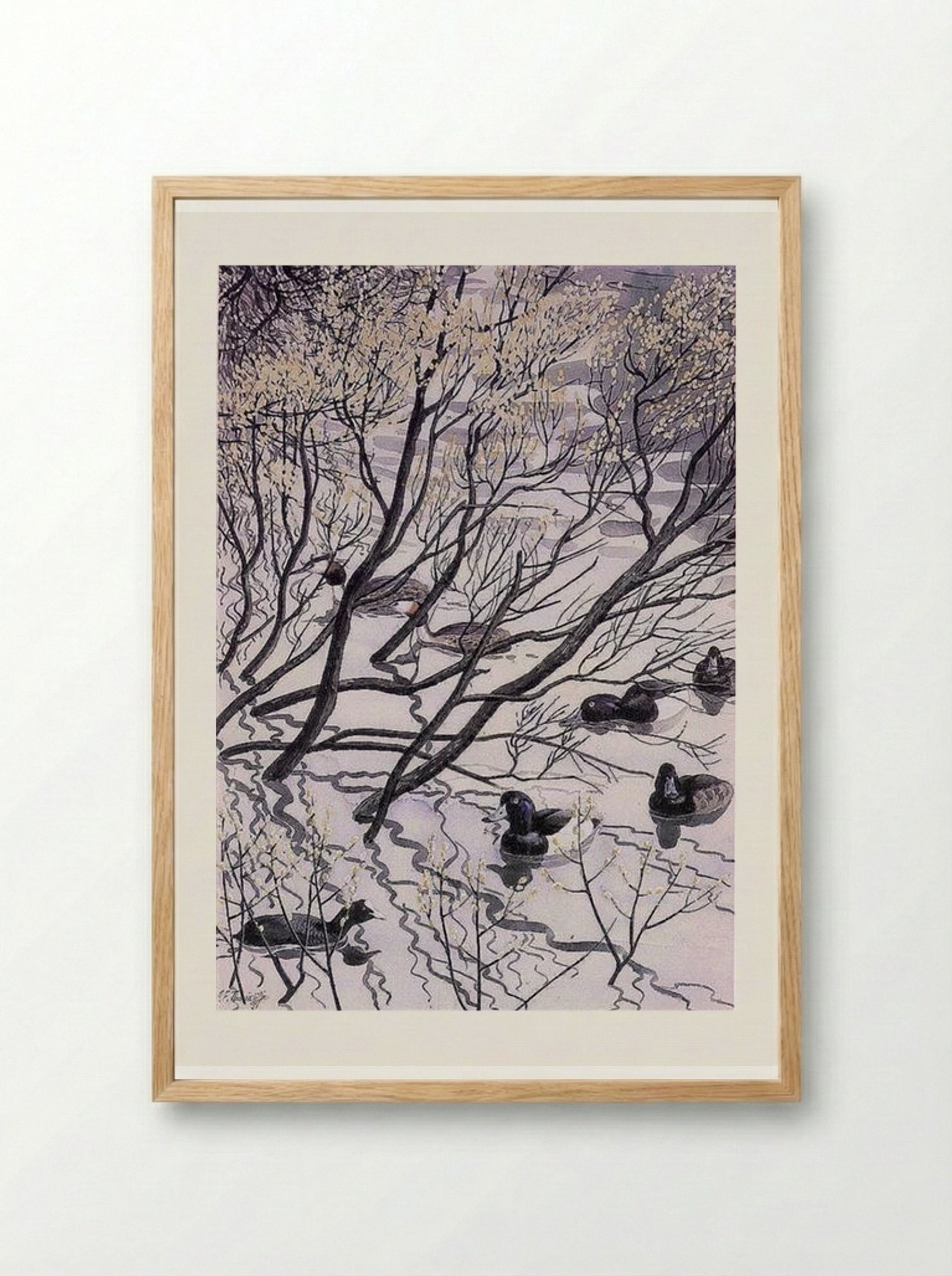 Waterfowl - Charles Tunnicliffe - Framed Print Wood