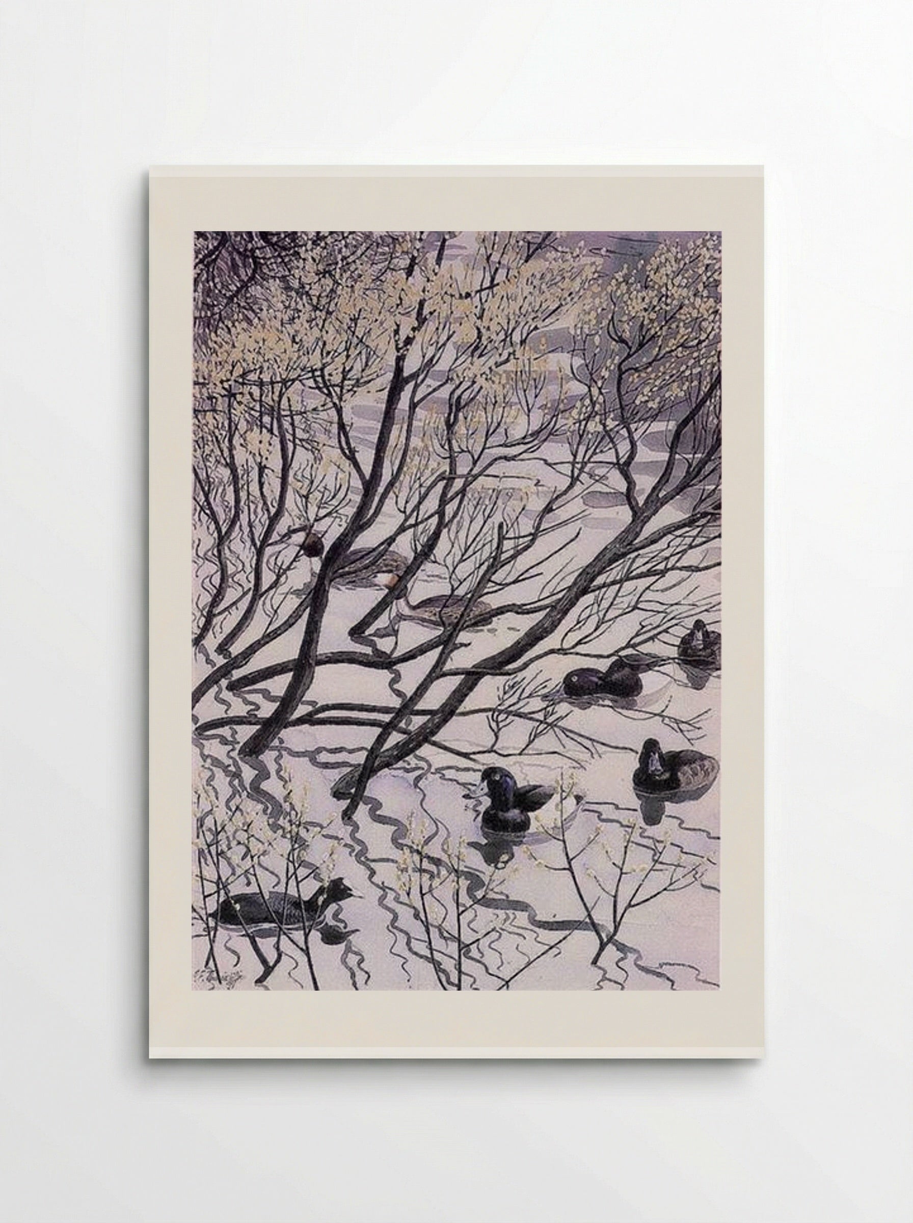 Waterfowl - Charles Tunnicliffe - Poster