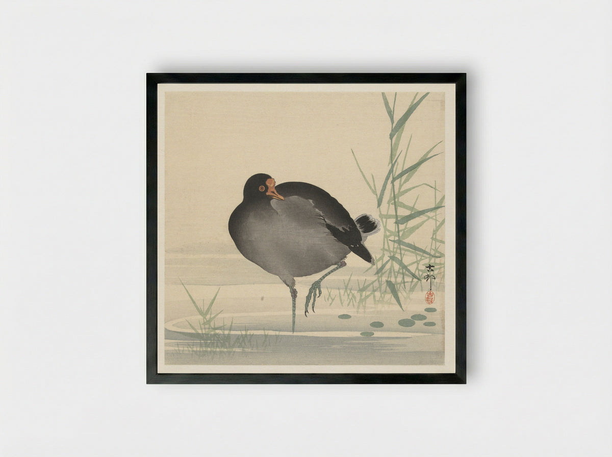 Waterhoen - Matsuki Heikichi - Framed Print Black