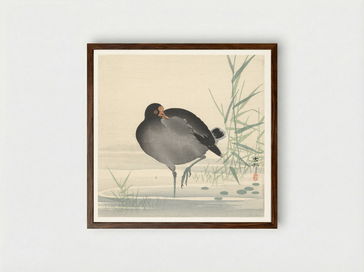 Waterhoen - Matsuki Heikichi - Framed Print Dark Wood