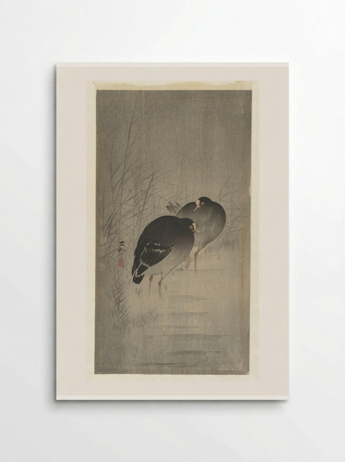 Waterhoentjes tussen riet (Moorhens among Reeds) - Matsuki Heikichi - Poster