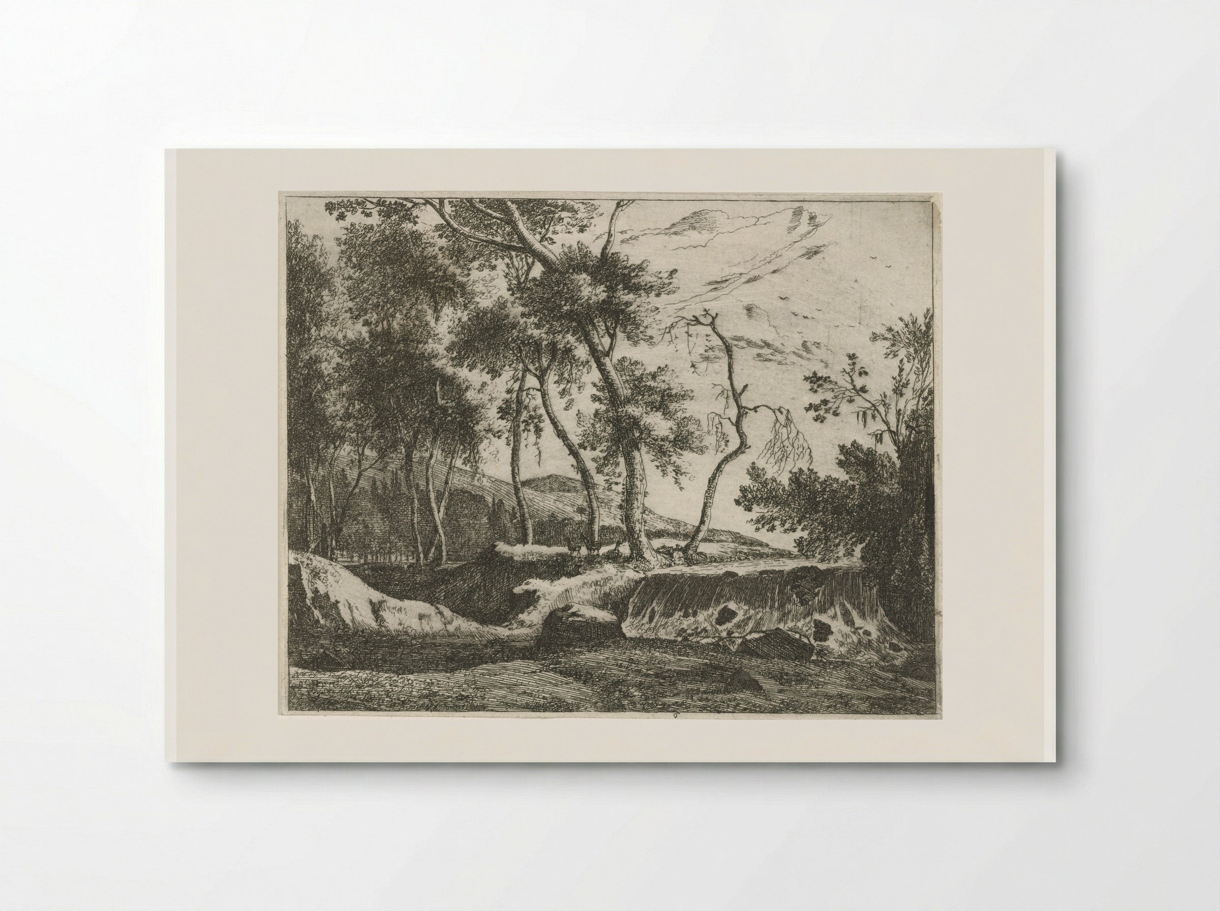 Waterval - Roelant Roghman - Poster