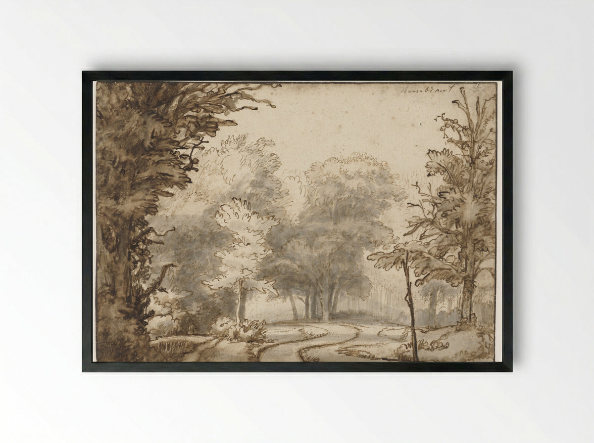 Weg door het bos (Path Through the Woods) - Abraham Furnerius - Framed Print Black