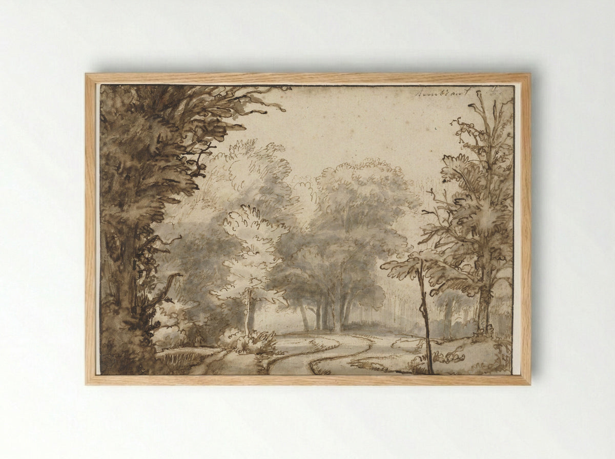 Weg door het bos (Path Through the Woods) - Abraham Furnerius - Framed Print Wood