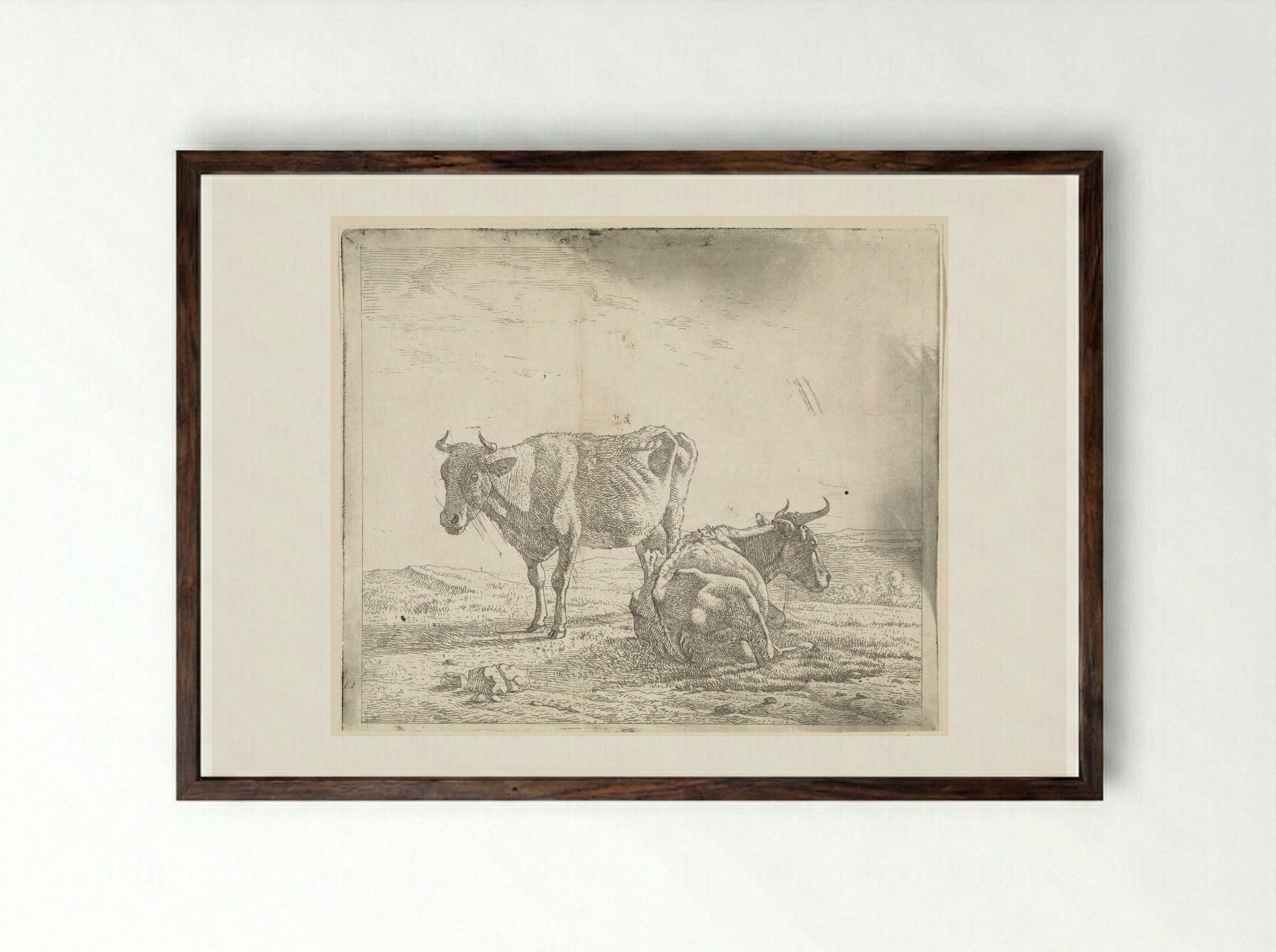 Weiland met een staande en liggende koe - Wouter Johannes van Troostwijk - Framed Print Dark Wood