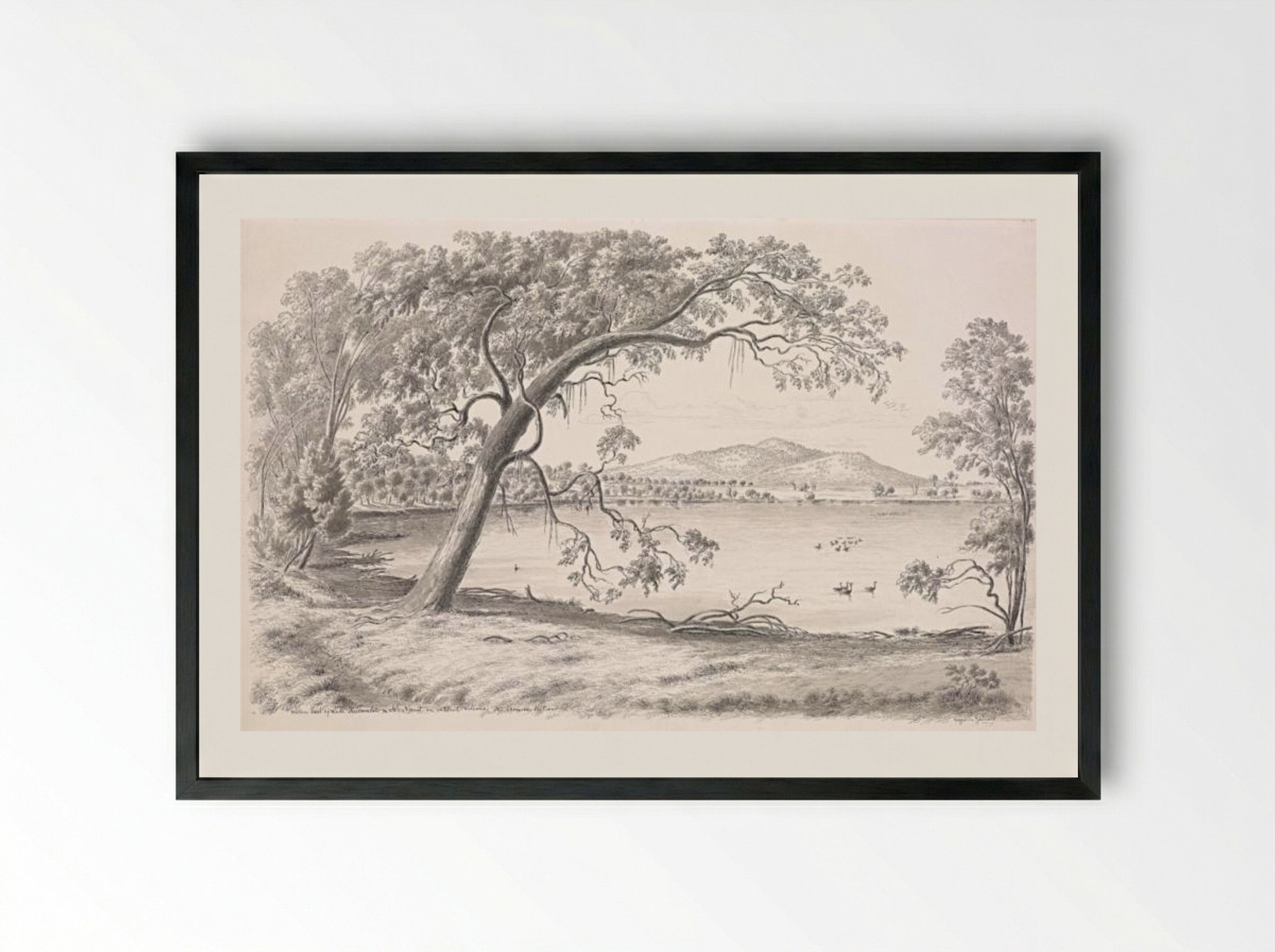 Western part of Lake Keilambete and Mt Noorat, an extinct volcano. Mr Thomson's station - Eugene von Guerard - Framed Print Black