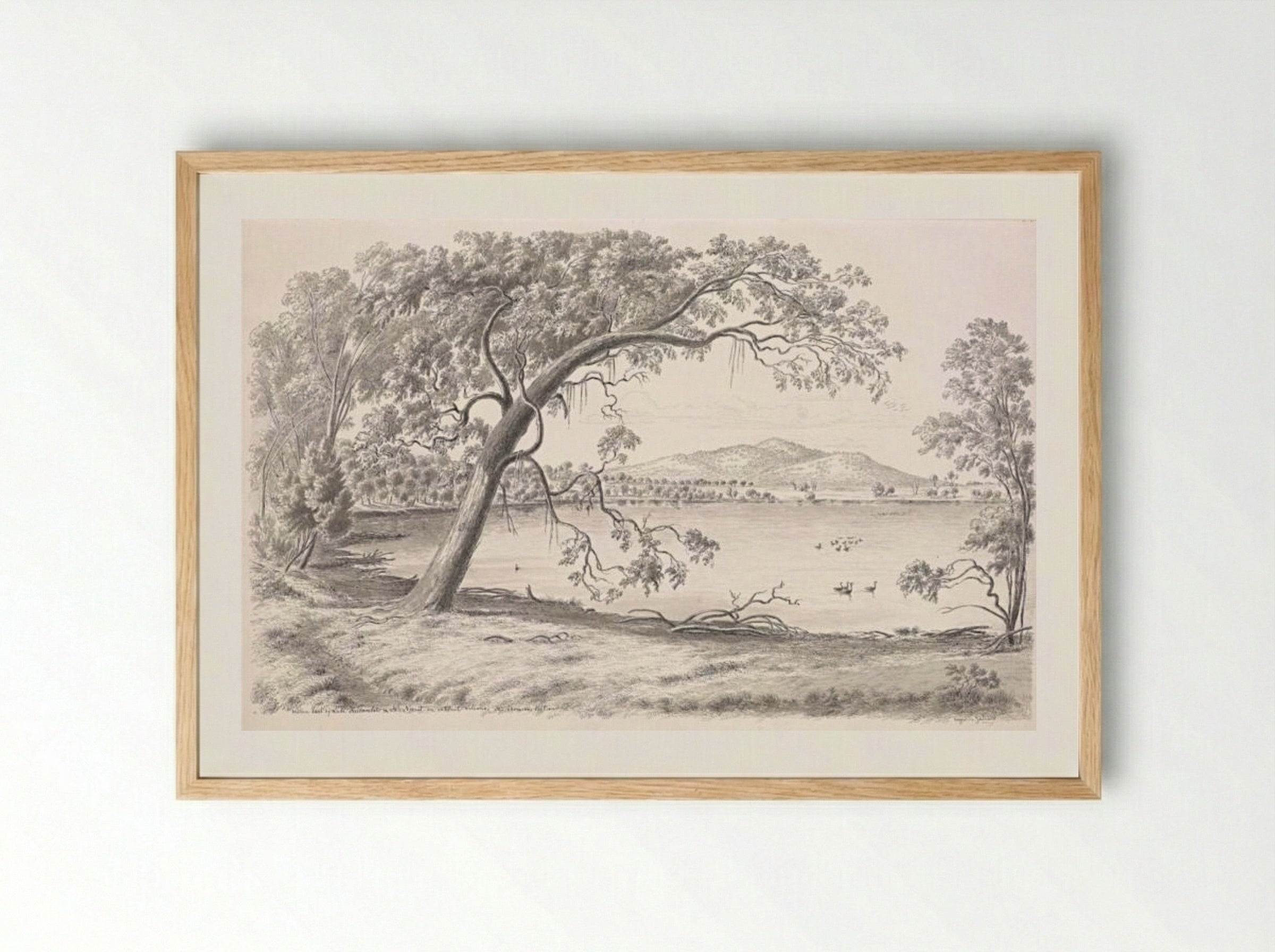 Western part of Lake Keilambete and Mt Noorat, an extinct volcano. Mr Thomson's station - Eugene von Guerard - Framed Print Wood