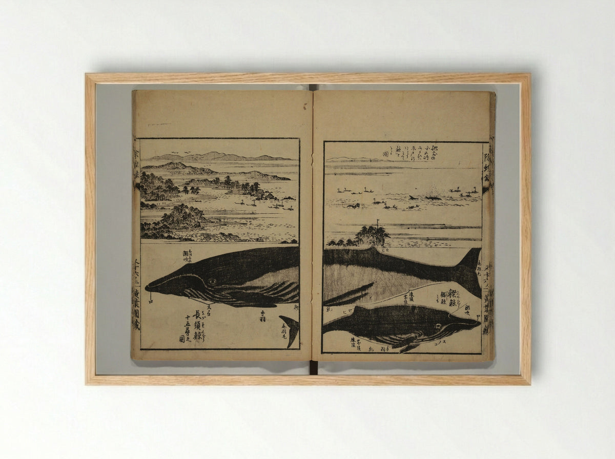 Whales and Whale Oil (Jokō roku) - Hasegawa Settan - Framed Print Wood