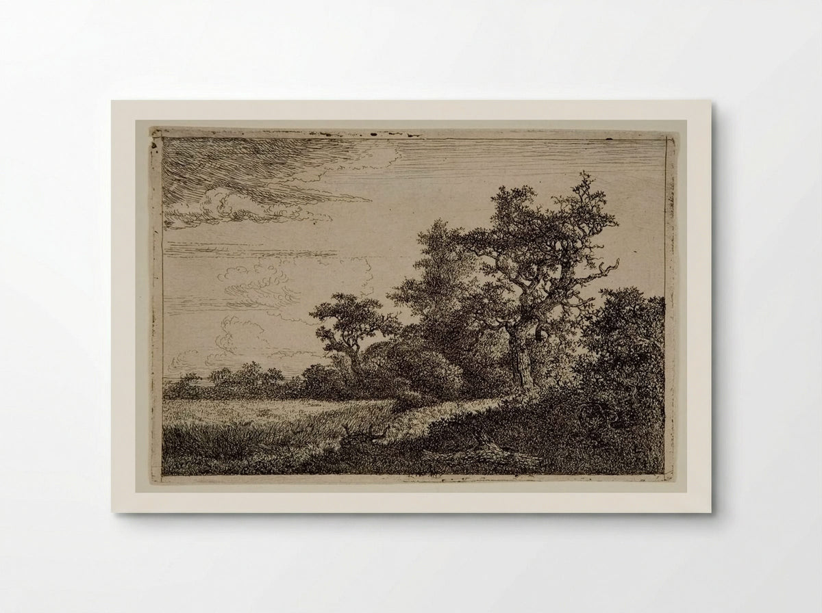 Wheatfield - Jacob van Ruisdael - Poster
