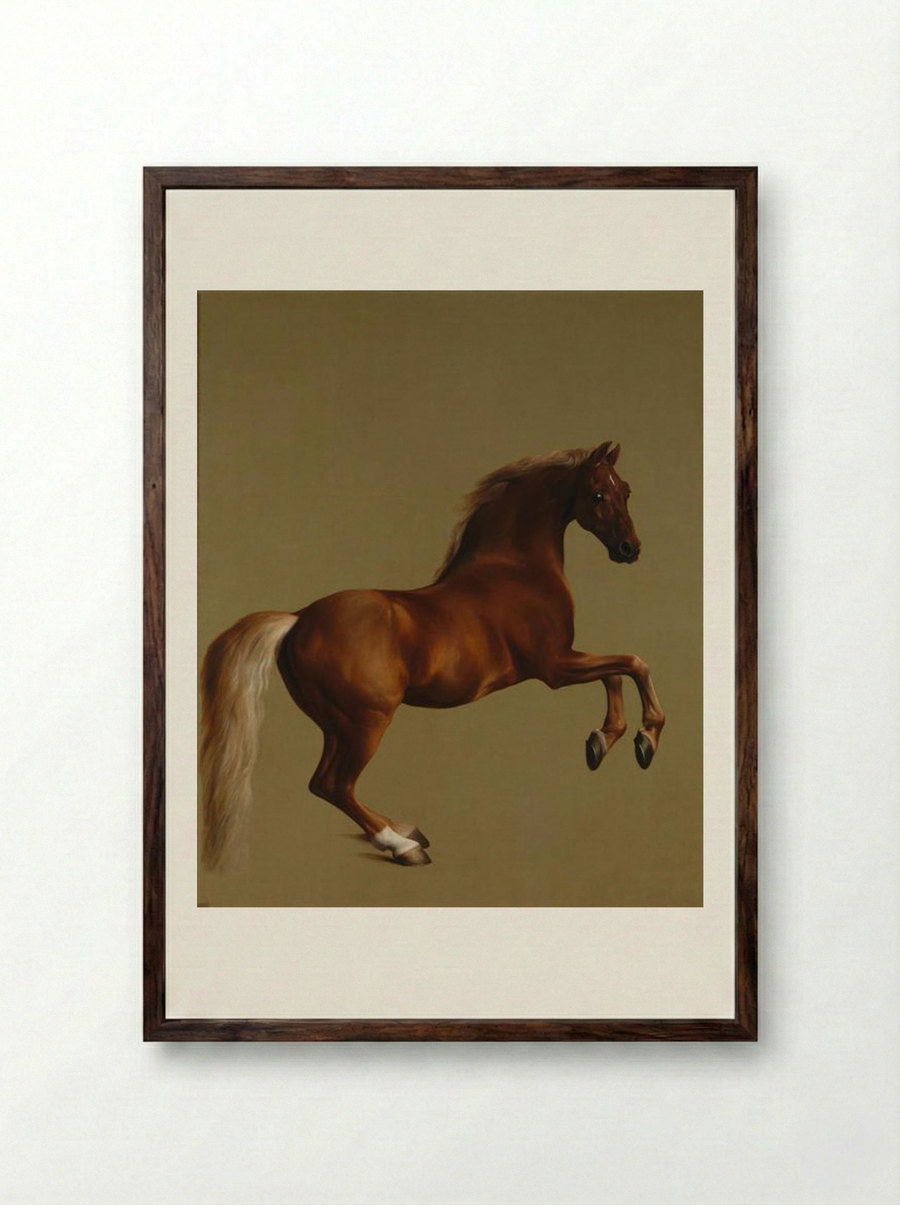 Whistlejacket - George Stubbs - Framed Print Dark Wood
