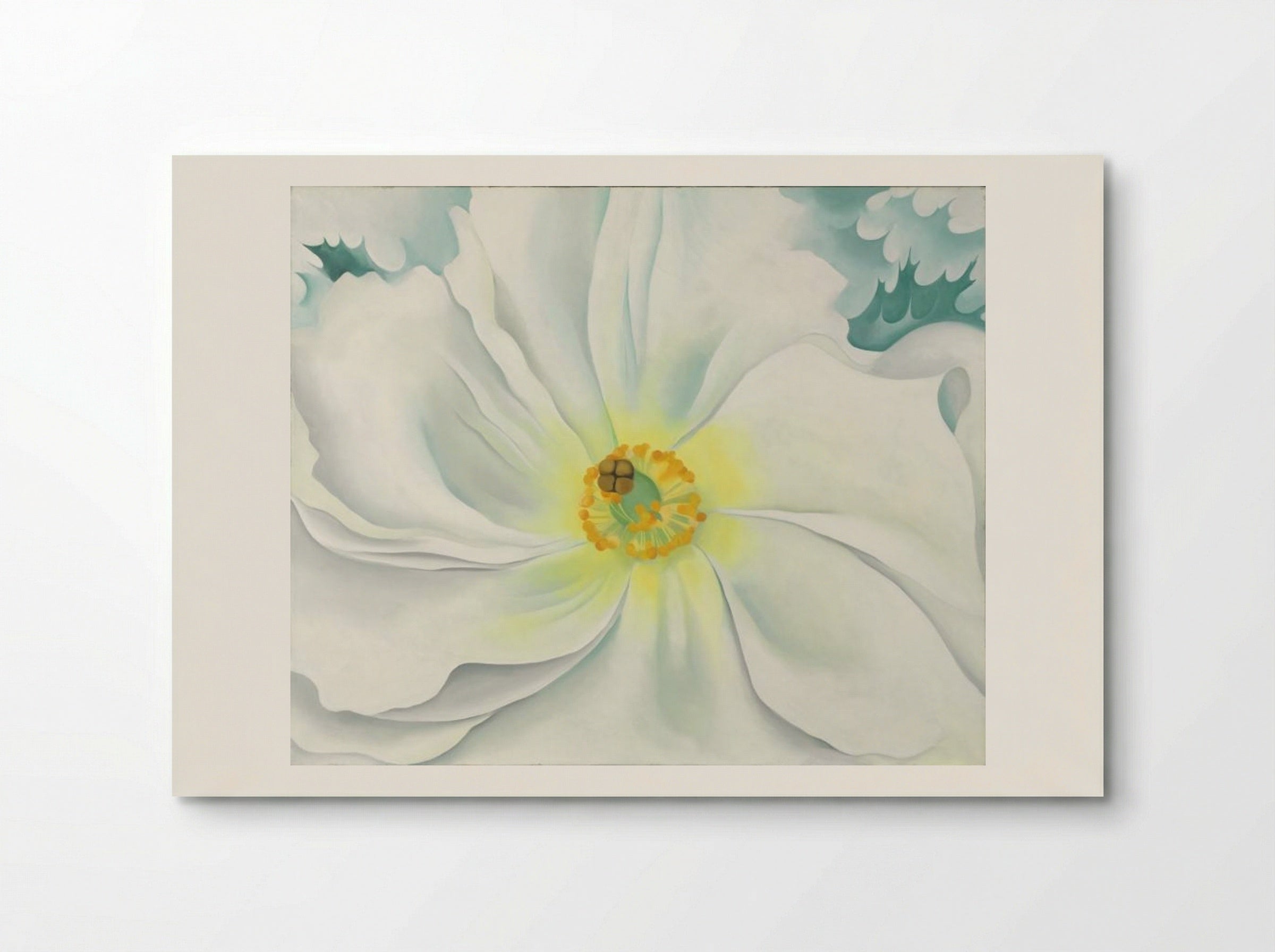 White Flower - Georgia O'Keeffe - Poster