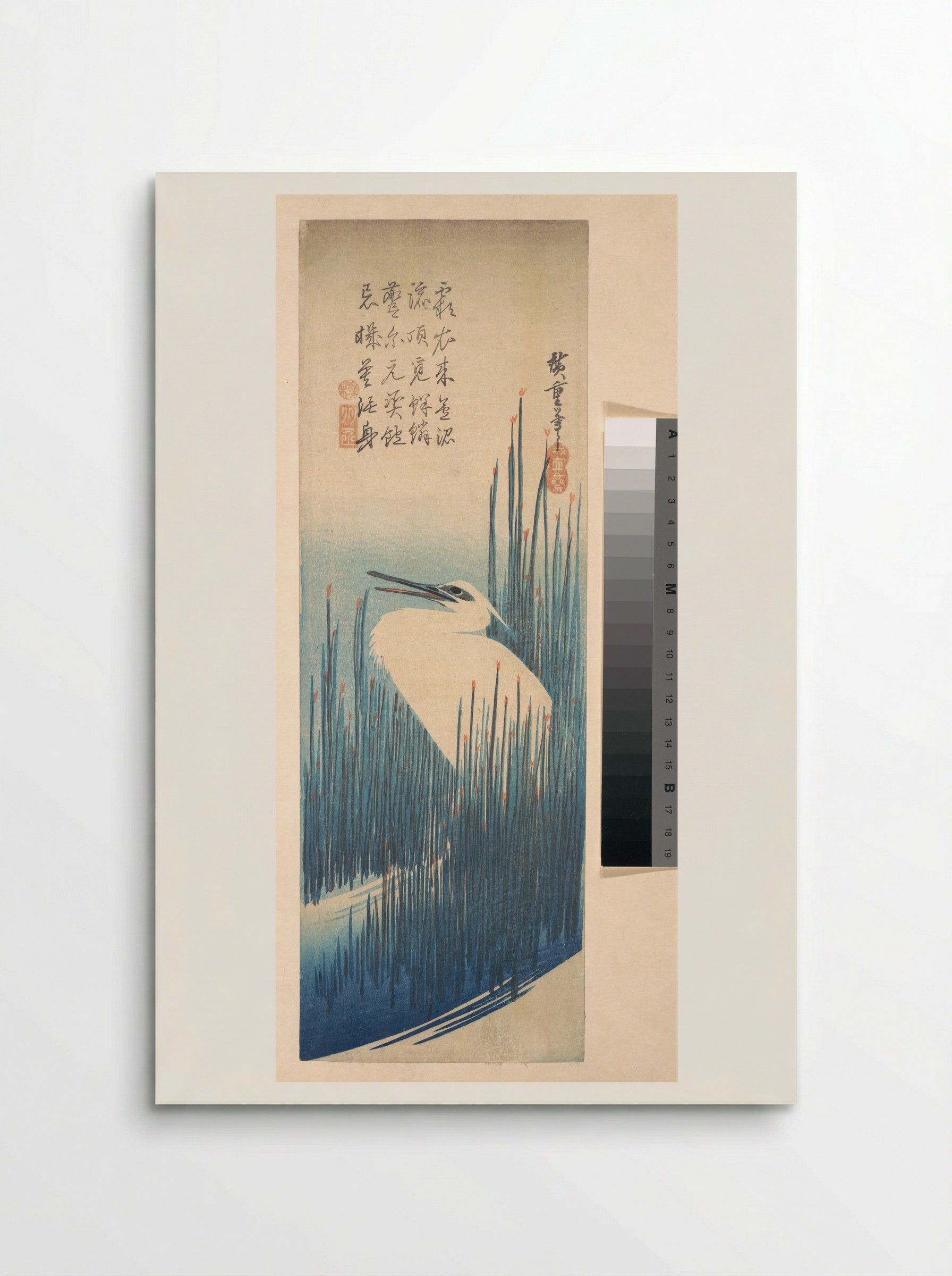 White Heron Standing among Reeds - Utagawa Hiroshige - Poster