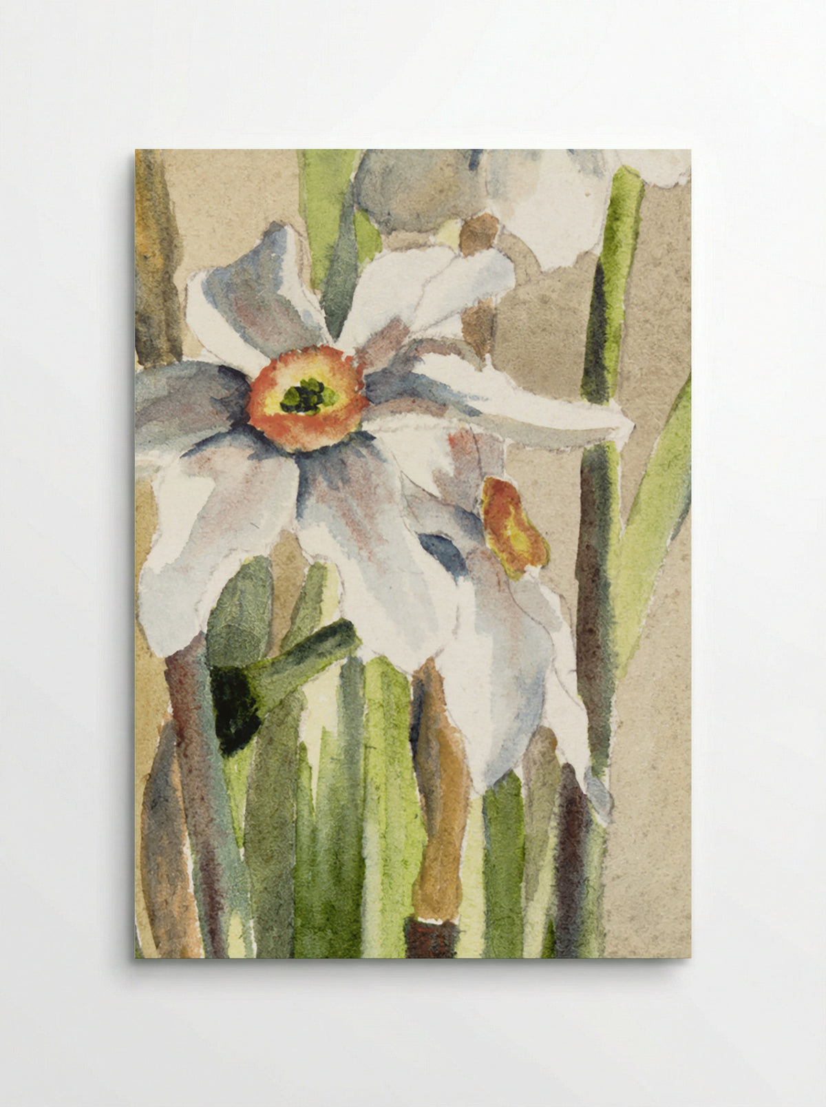 White Narcissus with Gray Accents (1915) - Hannah Borger Overbeck - Poster