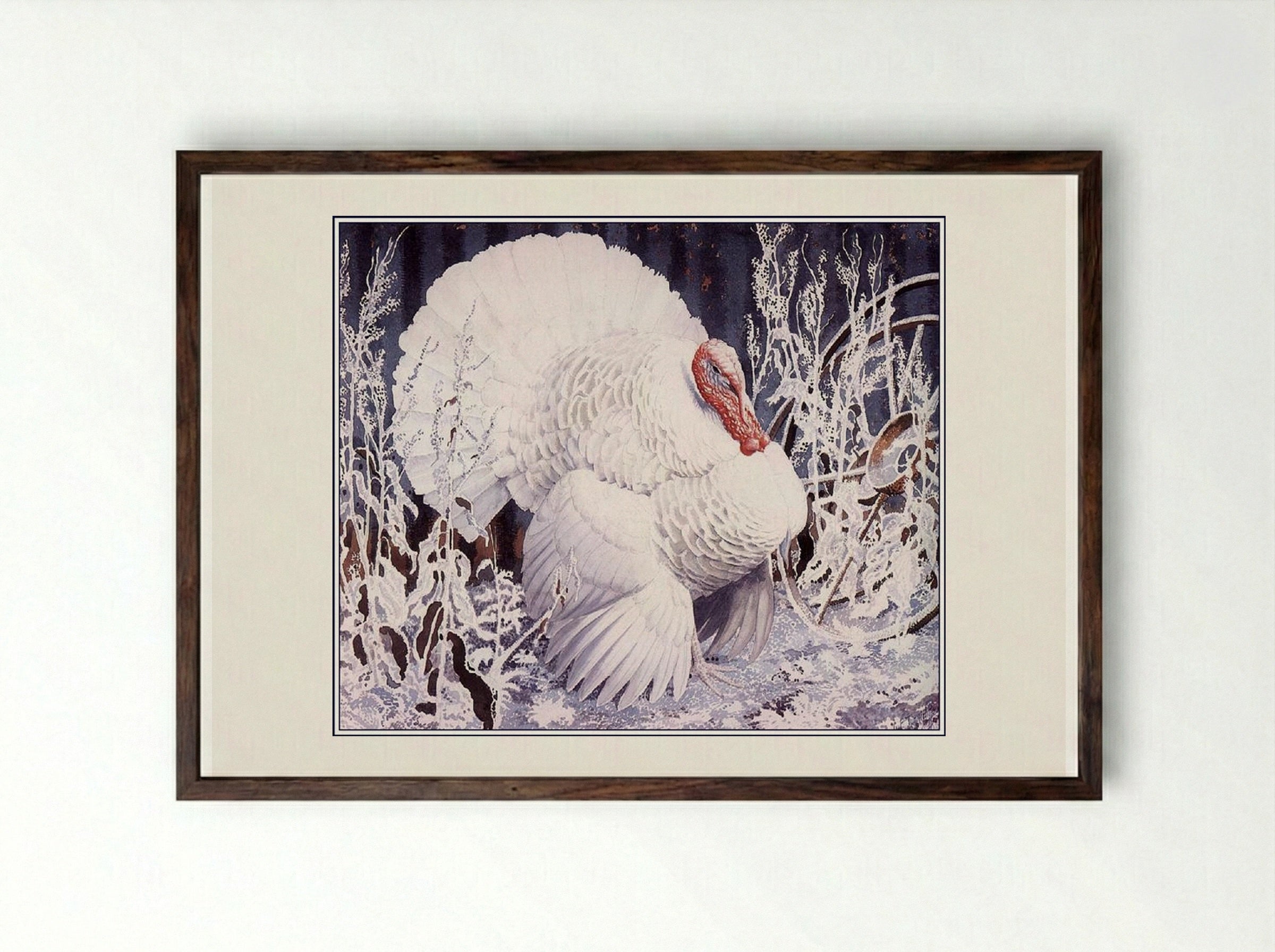 White Turkey - Charles Tunnicliffe - Framed Print Dark Wood