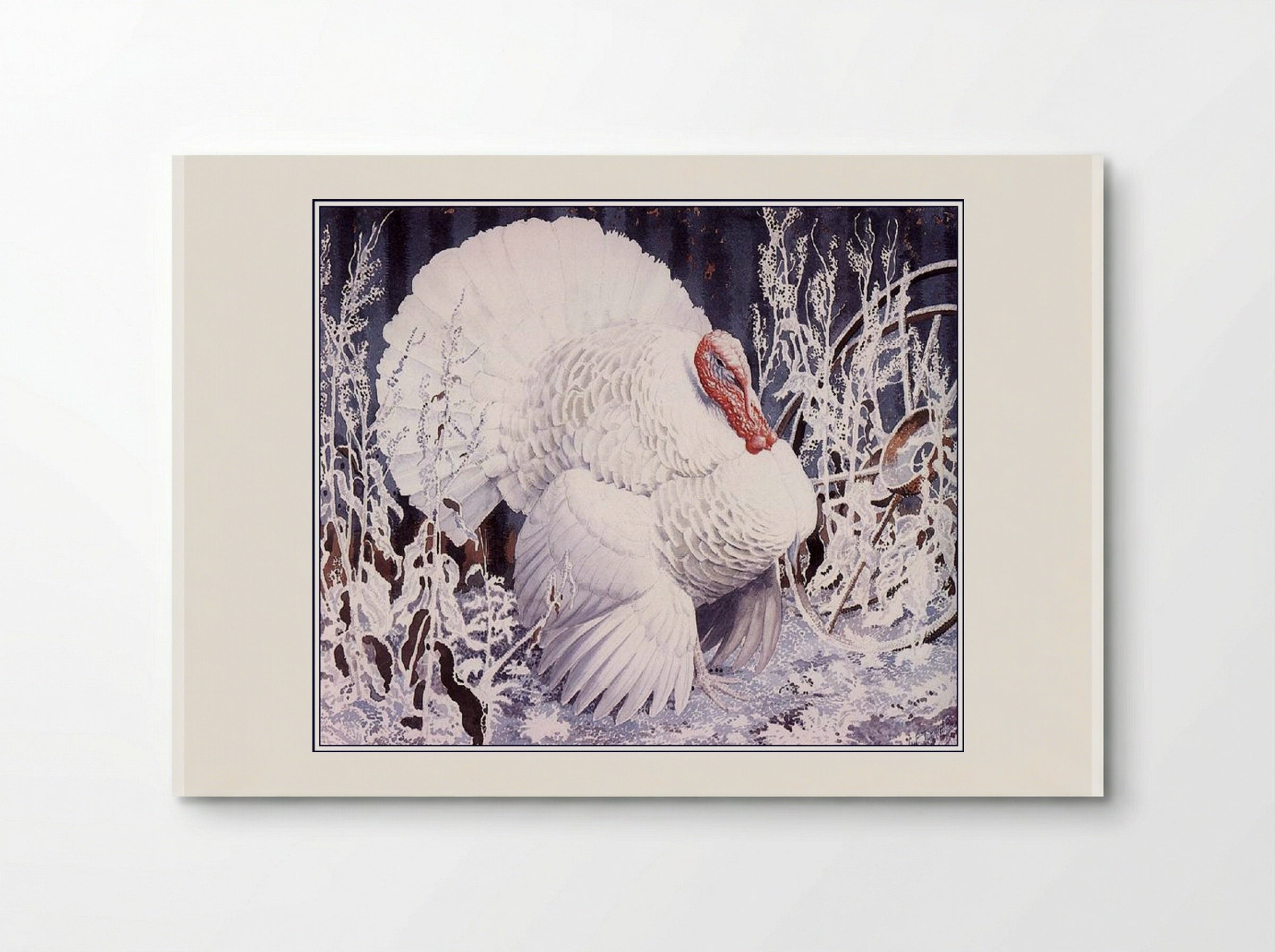 White Turkey - Charles Tunnicliffe - Poster