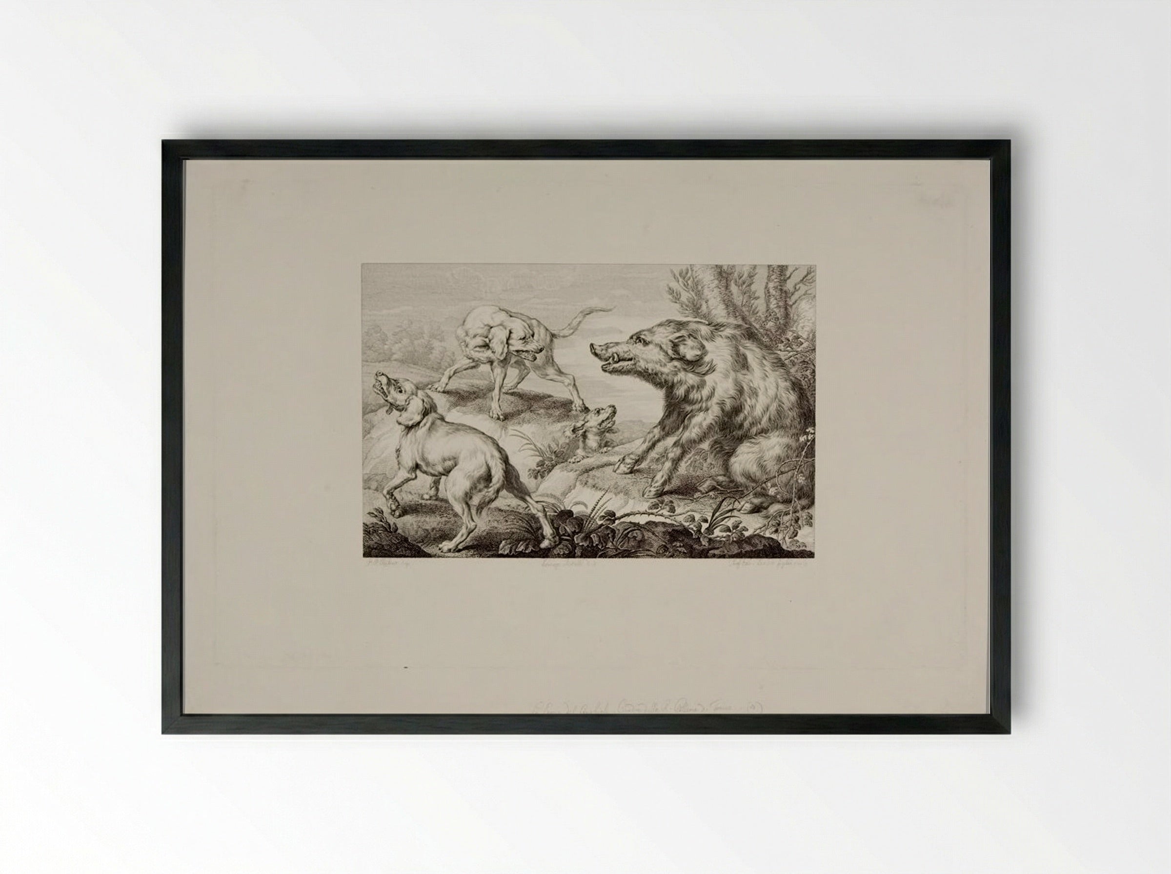 Wild Boar at Bay, With Three Dogs - Giovanni Paolo Lasinio - Framed Print Black